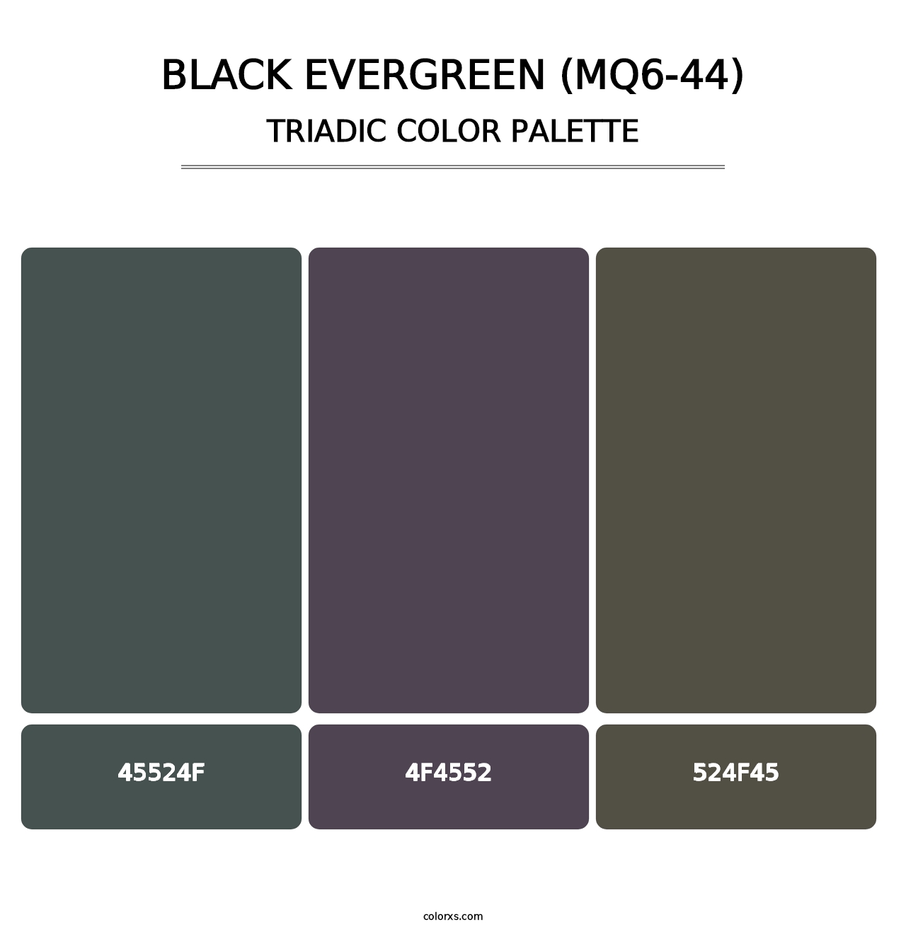 Black Evergreen (MQ6-44) - Triadic Color Palette