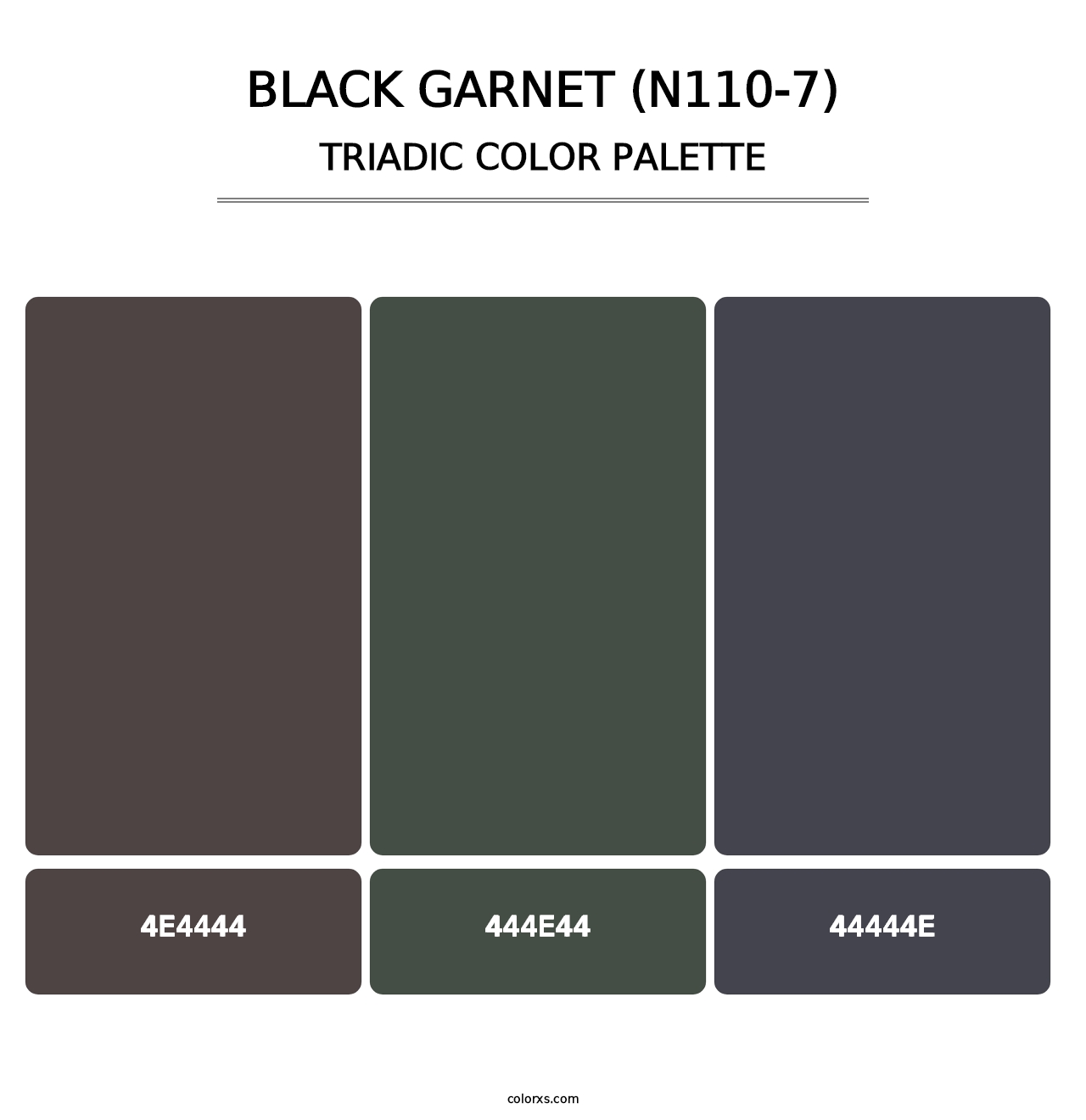 Black Garnet (N110-7) - Triadic Color Palette