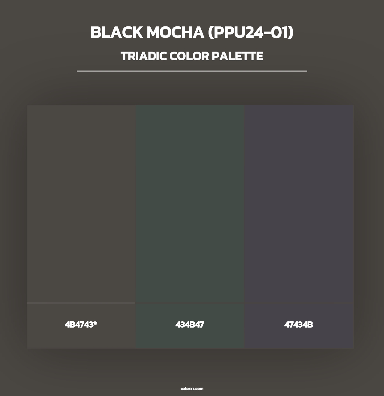 Black Mocha (PPU24-01) - Triadic Color Palette