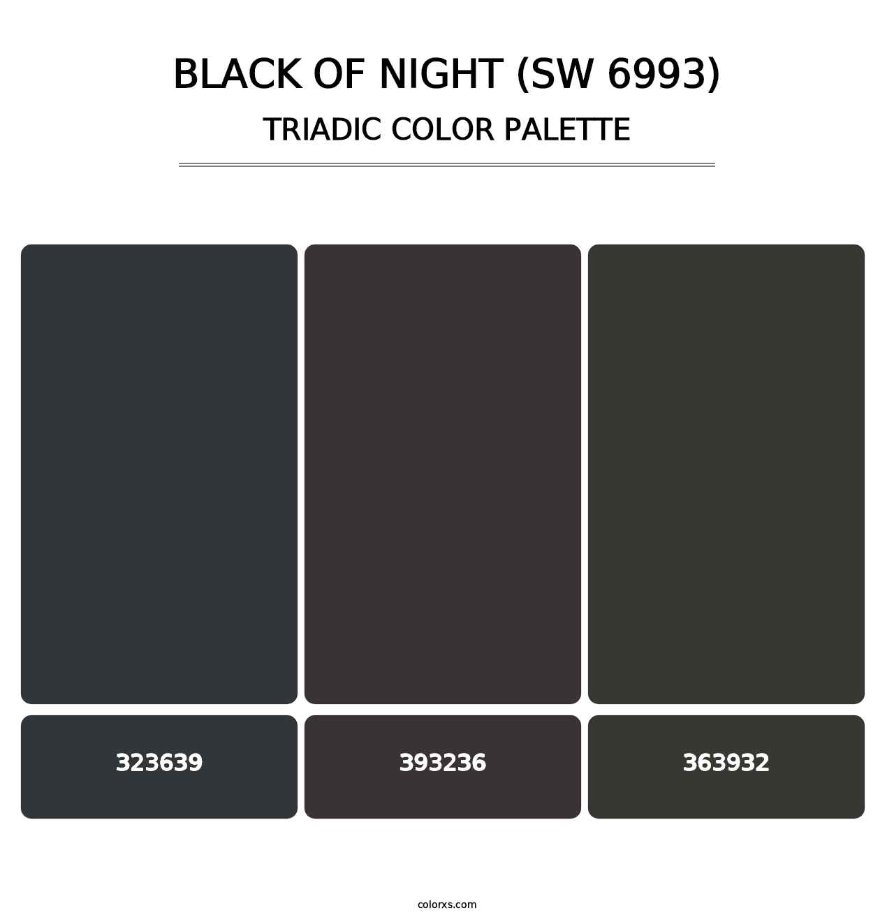 Black of Night (SW 6993) - Triadic Color Palette