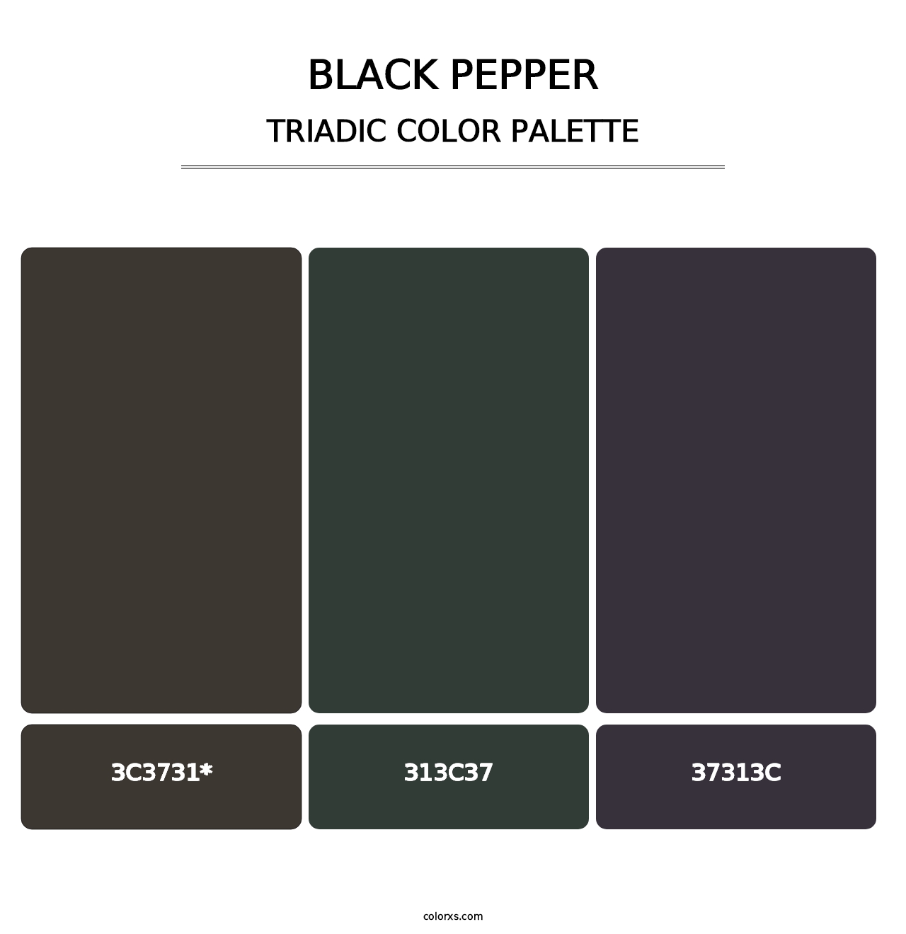 Black Pepper - Triadic Color Palette