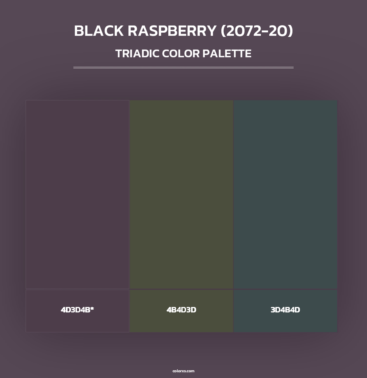 Black Raspberry (2072-20) - Triadic Color Palette
