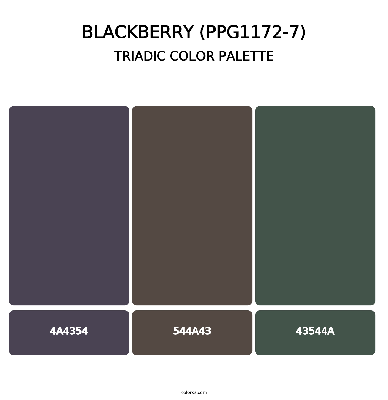 Blackberry (PPG1172-7) - Triadic Color Palette