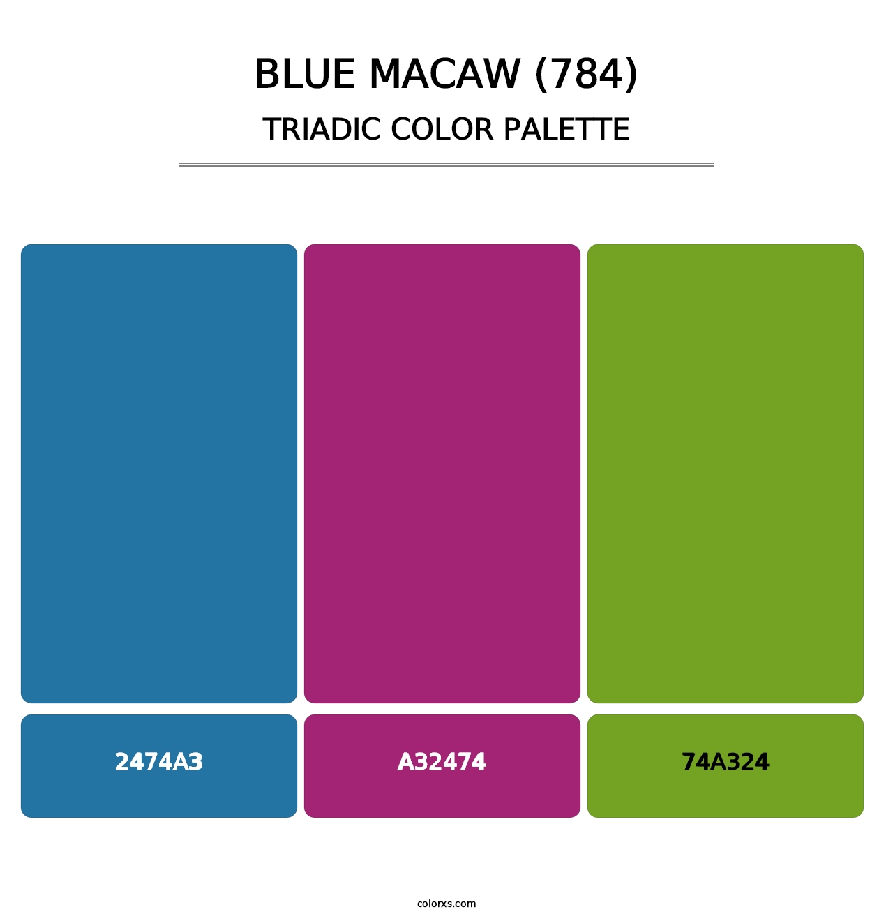 Blue Macaw (784) - Triadic Color Palette