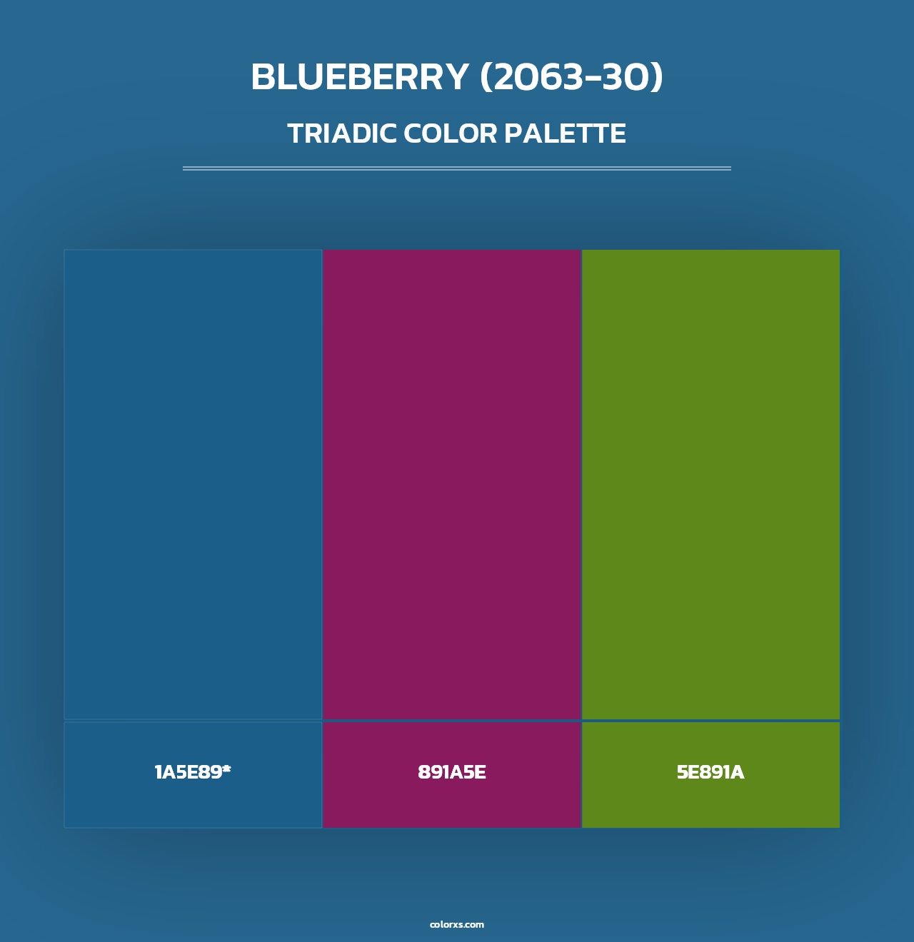 Blueberry (2063-30) - Triadic Color Palette