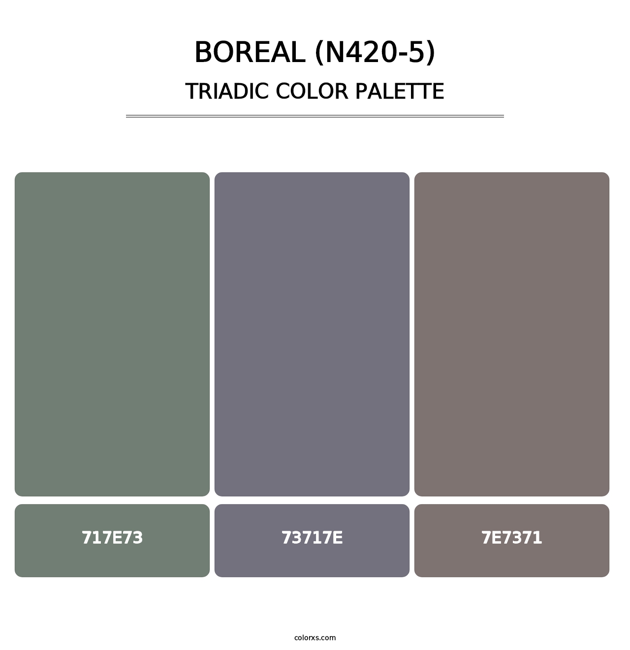 Boreal (N420-5) - Triadic Color Palette