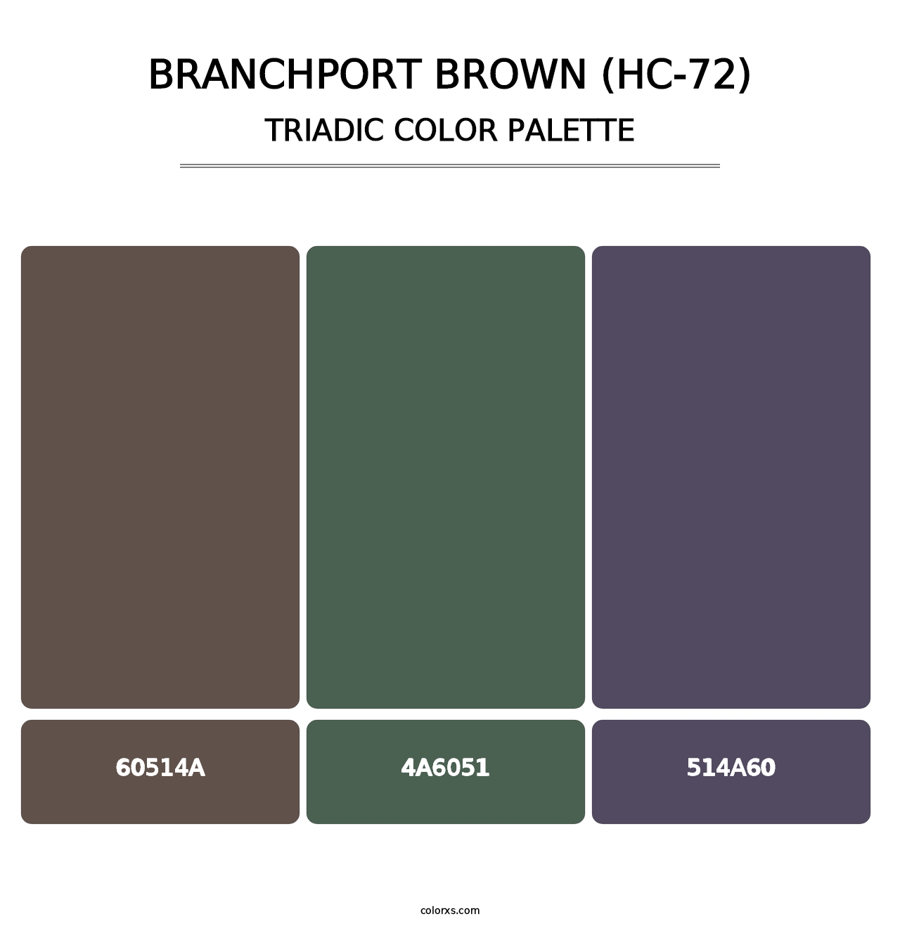 Branchport Brown (HC-72) - Triadic Color Palette