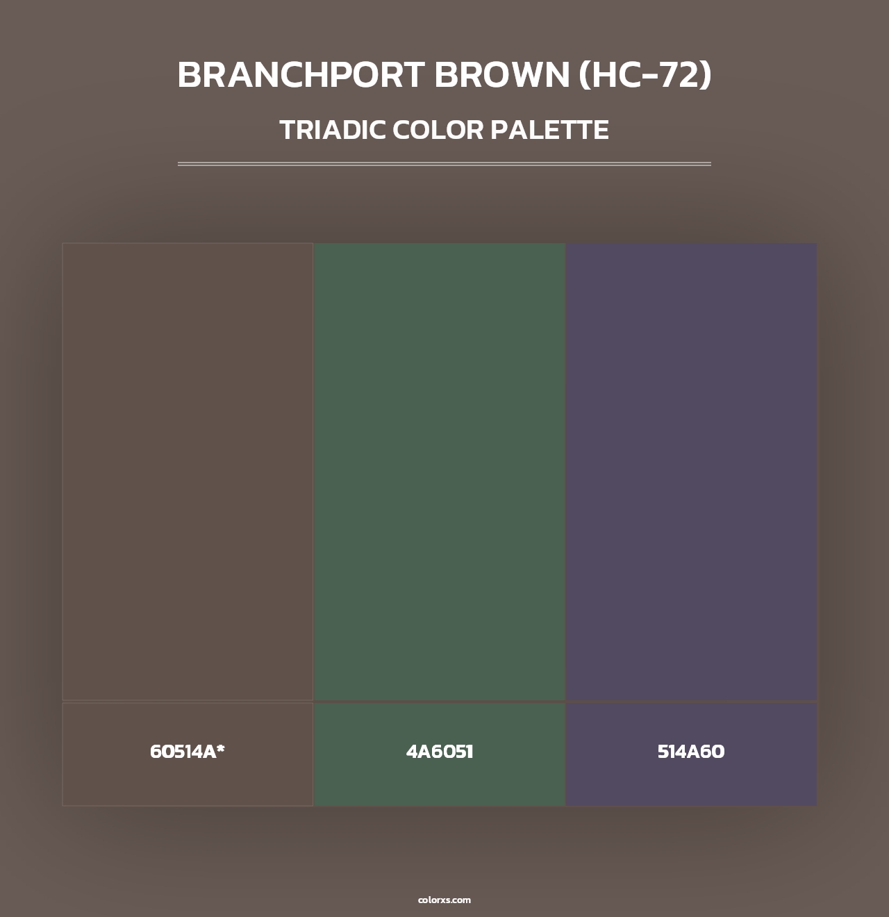 Branchport Brown (HC-72) - Triadic Color Palette