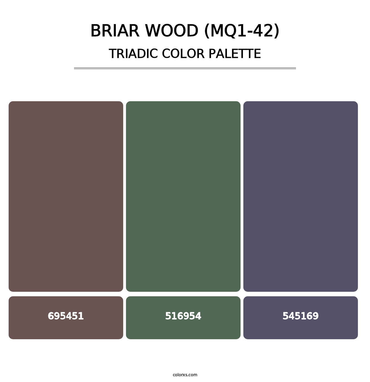 Briar Wood (MQ1-42) - Triadic Color Palette