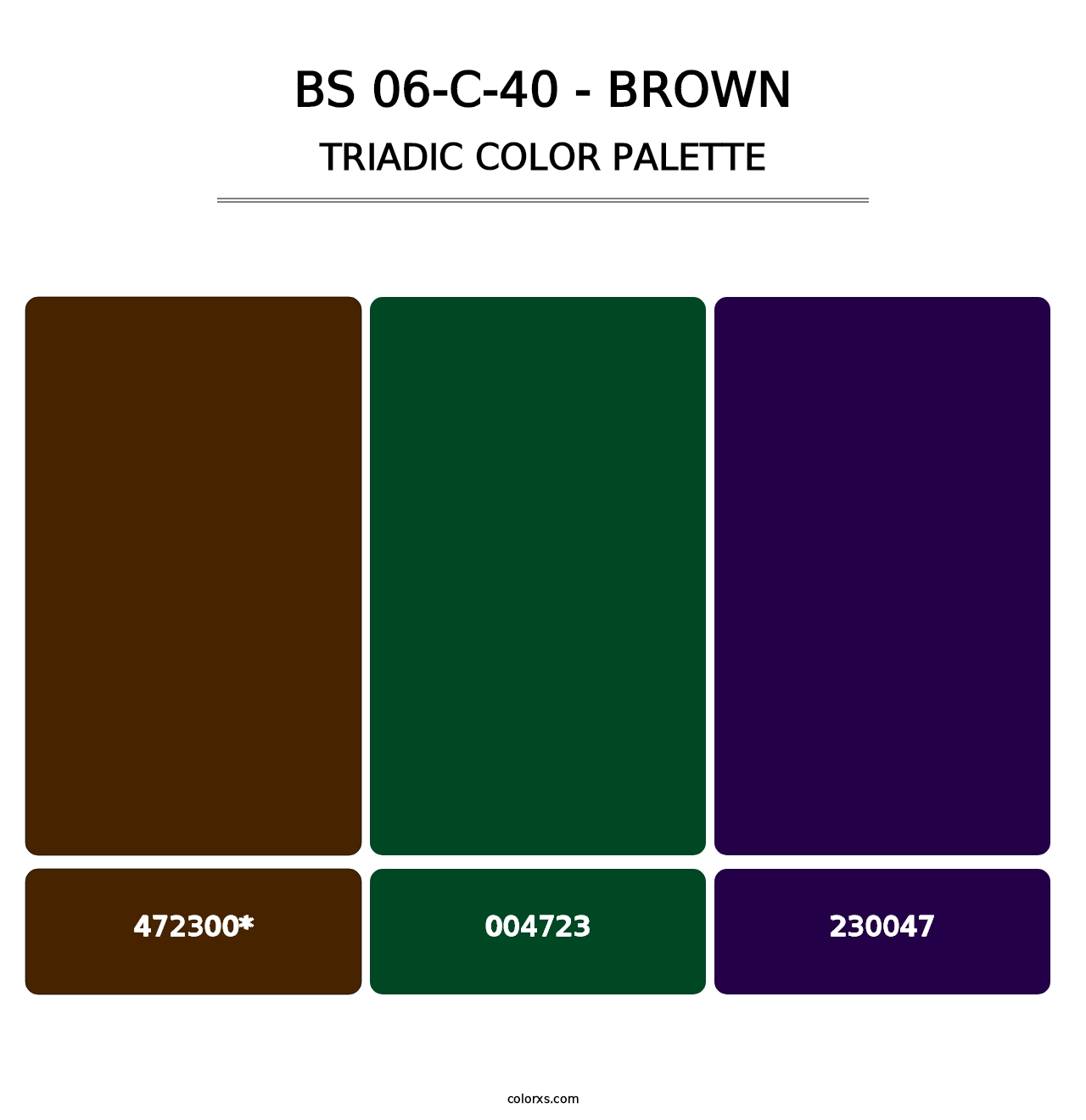 BS 06-C-40 - Brown - Triadic Color Palette