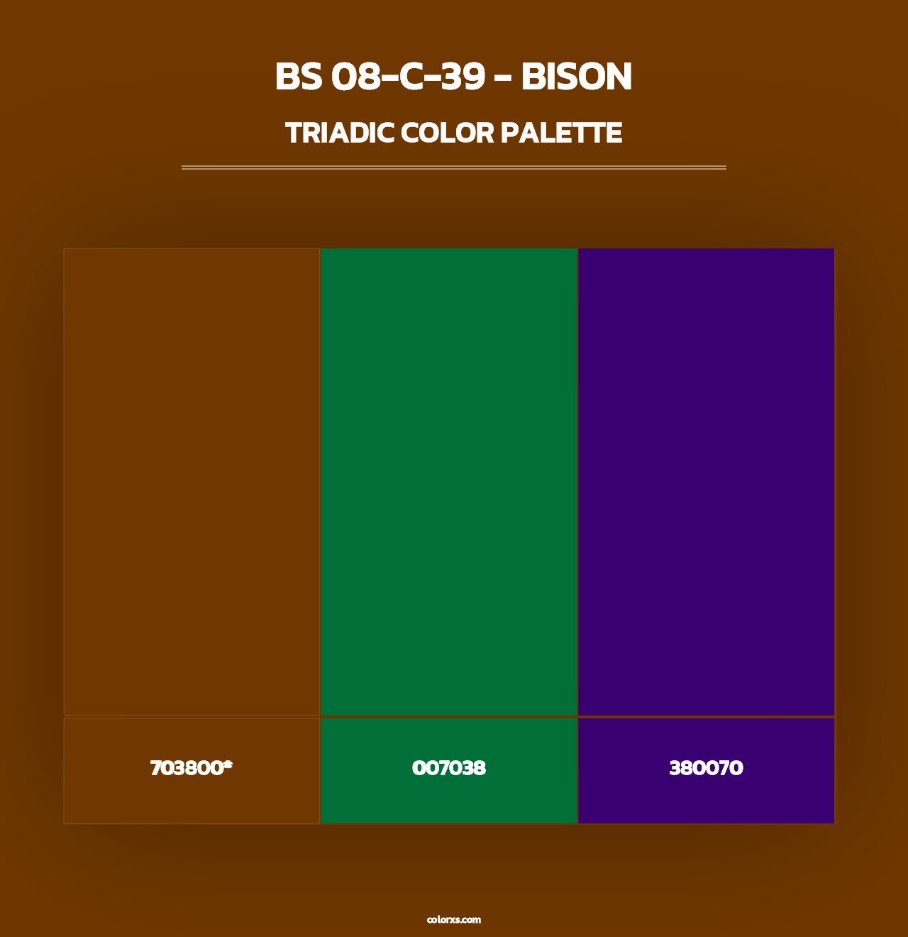BS 08-C-39 - Bison - Triadic Color Palette