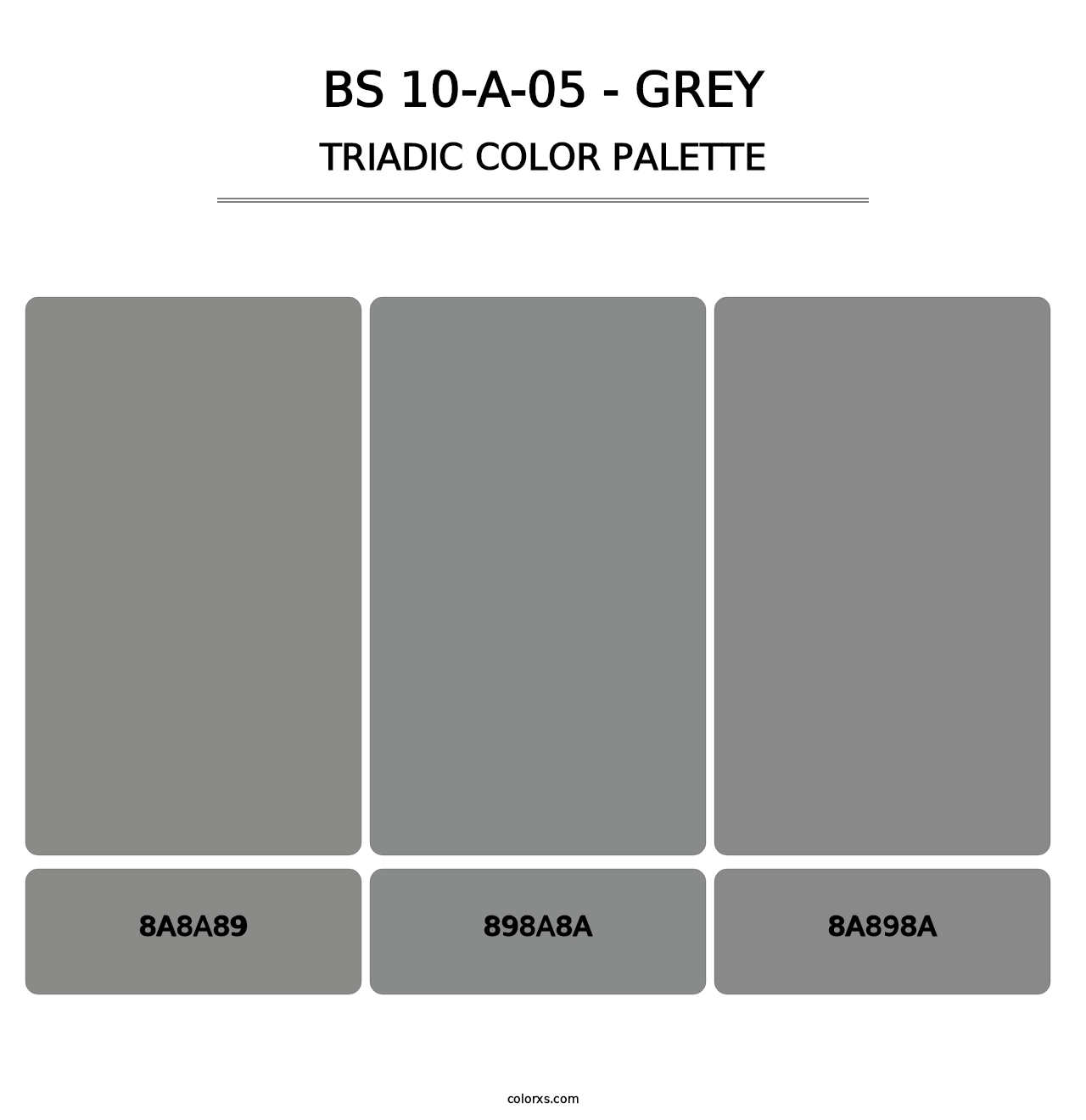 BS 10-A-05 - Grey - Triadic Color Palette