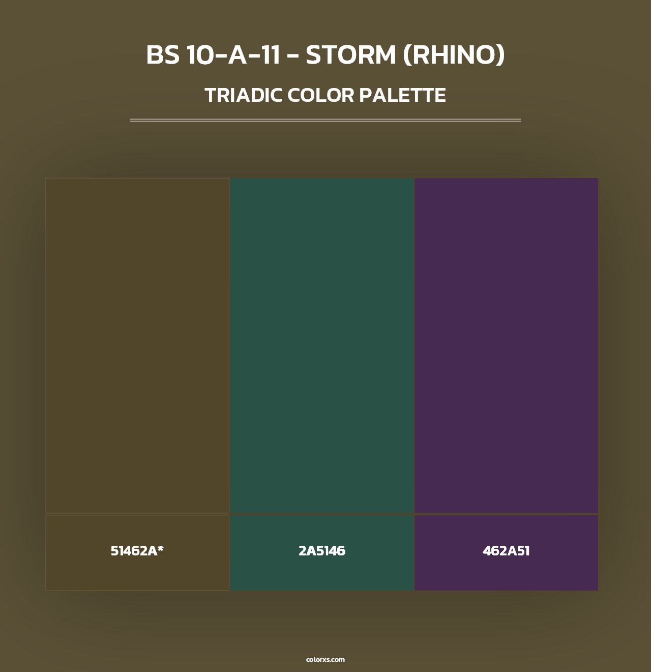 BS 10-A-11 - Storm (Rhino) - Triadic Color Palette