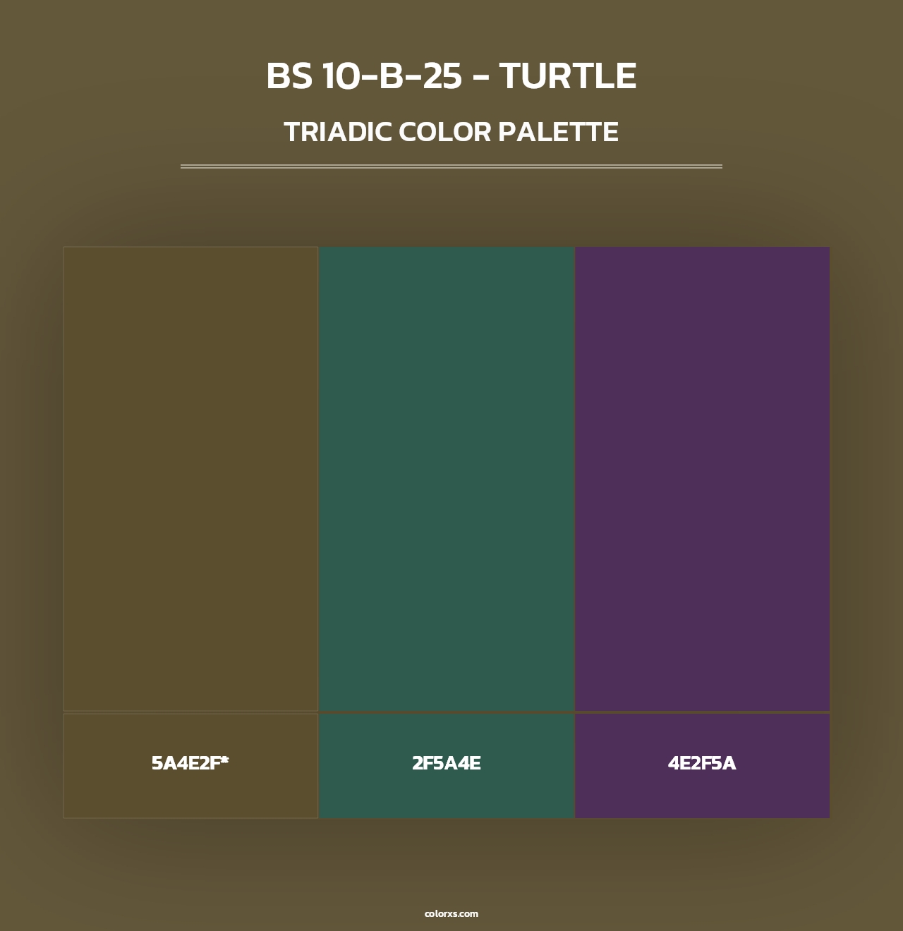 BS 10-B-25 - Turtle - Triadic Color Palette