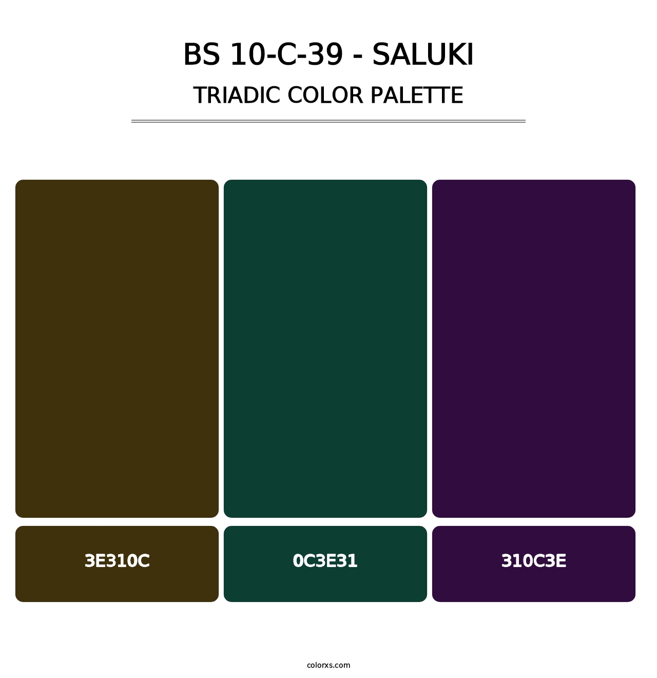 BS 10-C-39 - Saluki - Triadic Color Palette