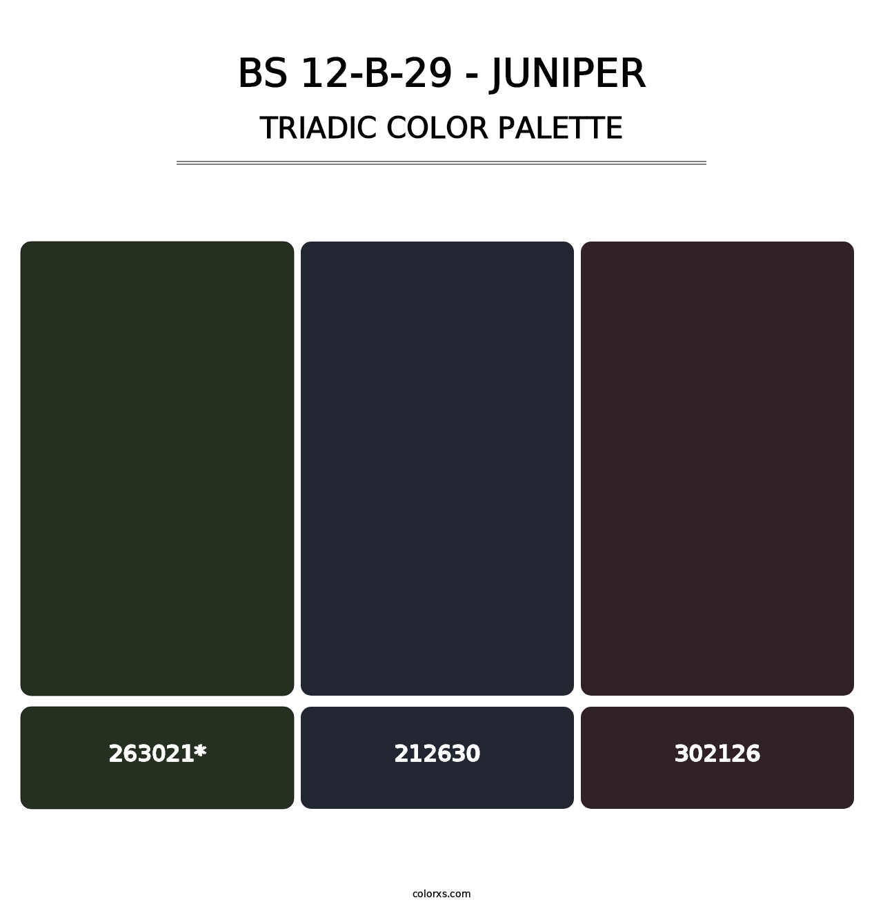BS 12-B-29 - Juniper - Triadic Color Palette