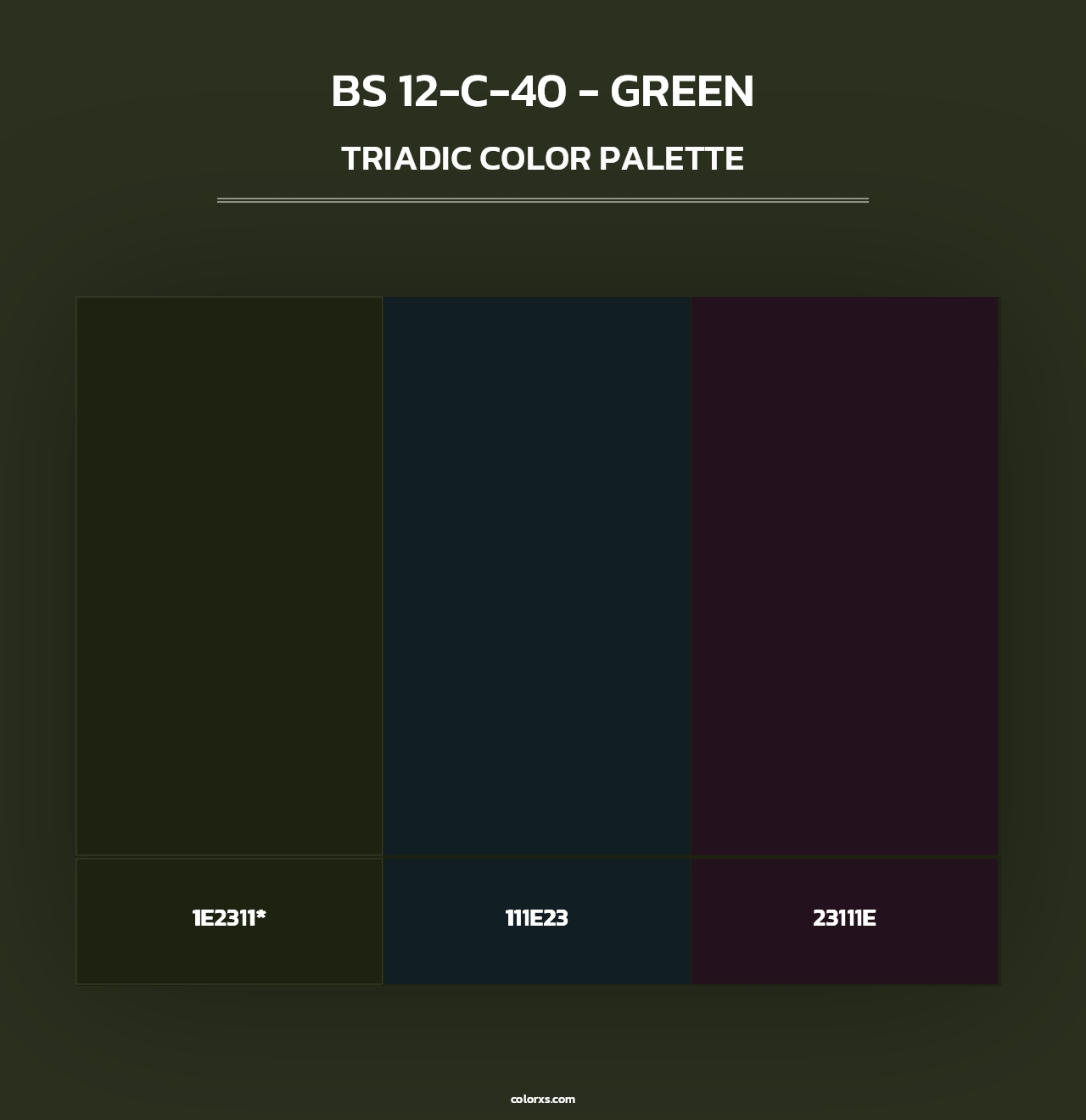 BS 12-C-40 - Green - Triadic Color Palette