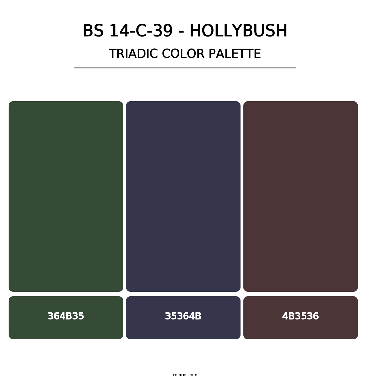 BS 14-C-39 - Hollybush - Triadic Color Palette
