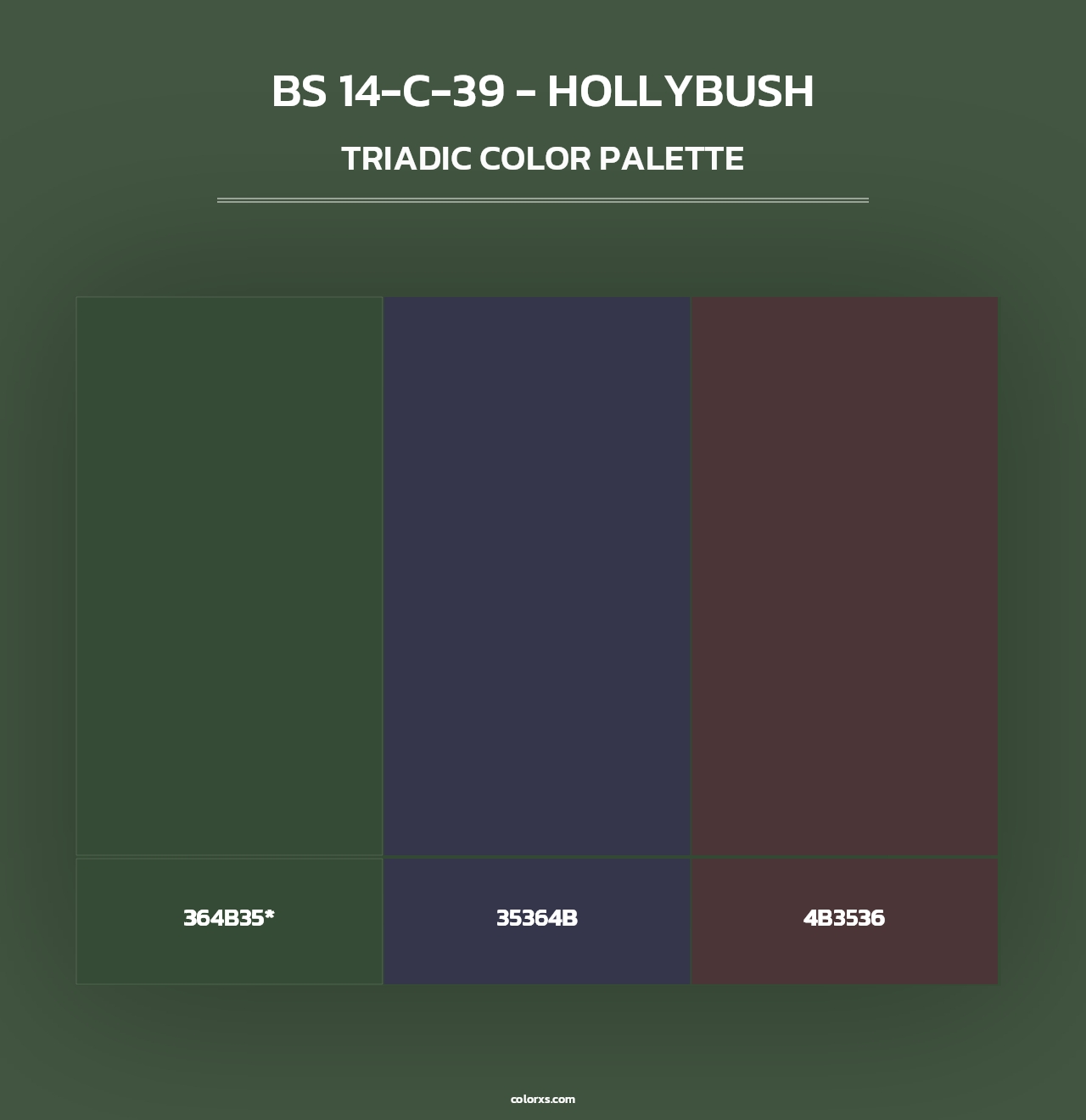 BS 14-C-39 - Hollybush - Triadic Color Palette