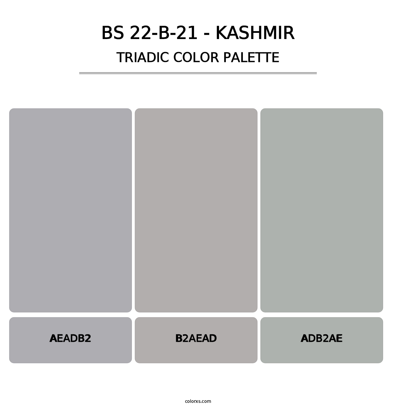 BS 22-B-21 - Kashmir - Triadic Color Palette
