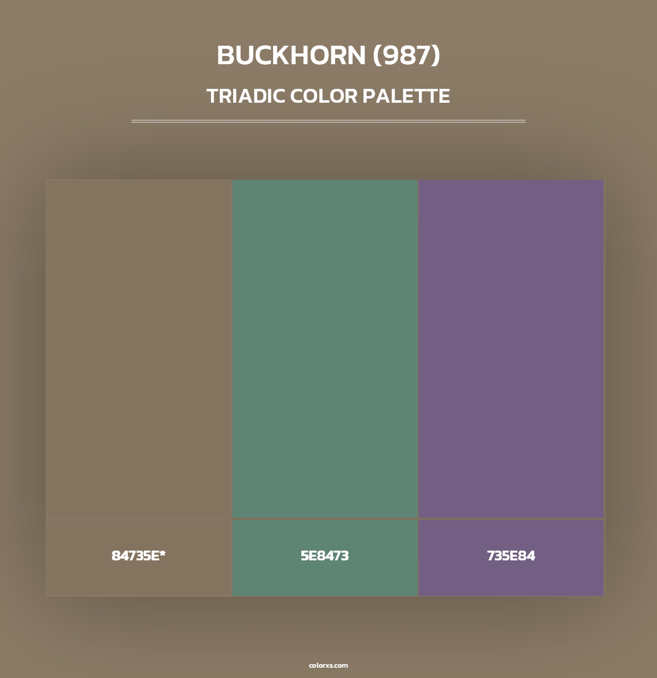 Buckhorn (987) - Triadic Color Palette