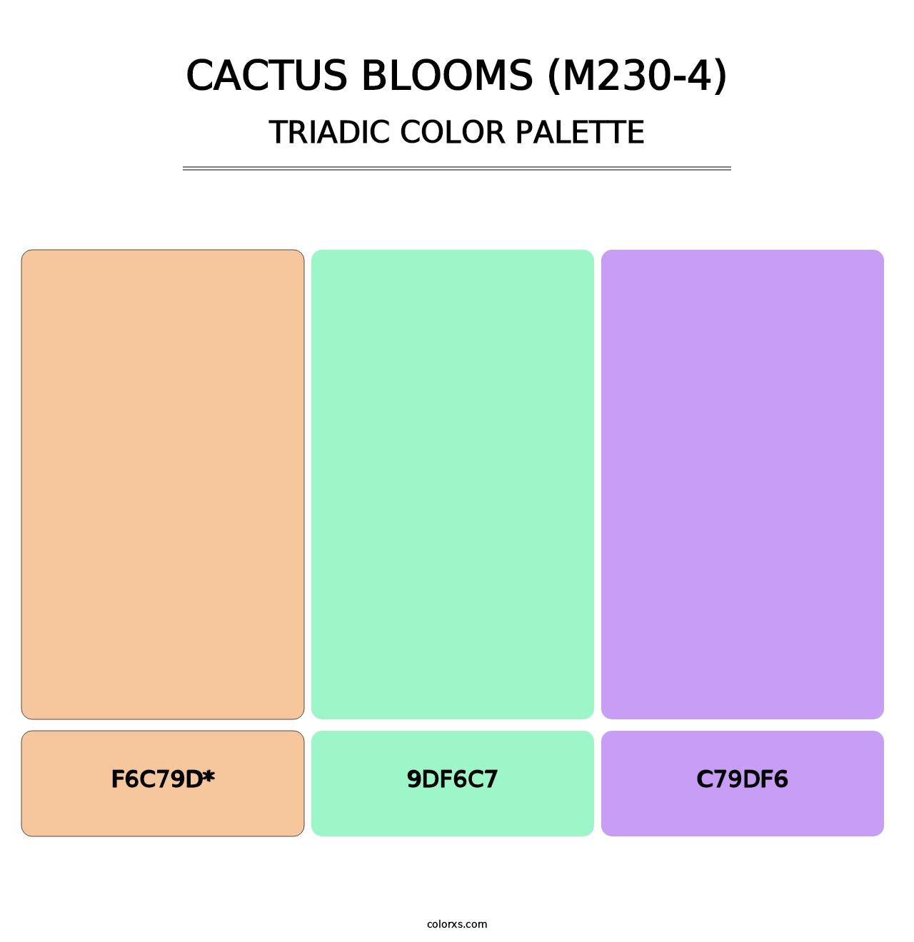 Cactus Blooms (M230-4) - Triadic Color Palette