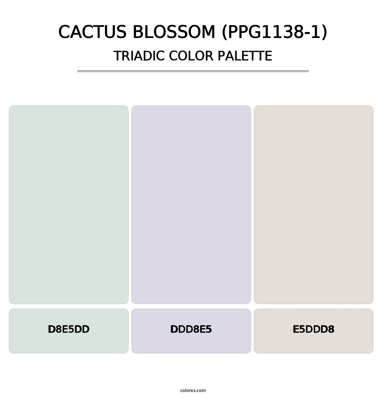 Cactus Blossom (PPG1138-1) - Triadic Color Palette