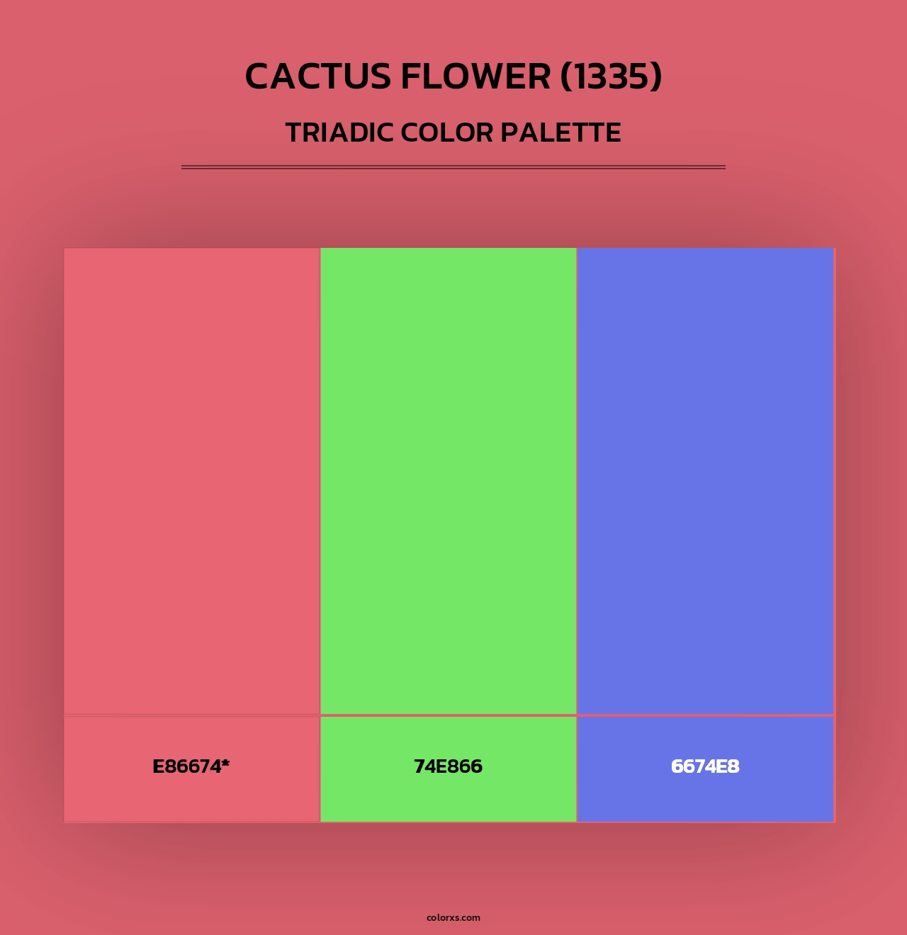 Cactus Flower (1335) - Triadic Color Palette