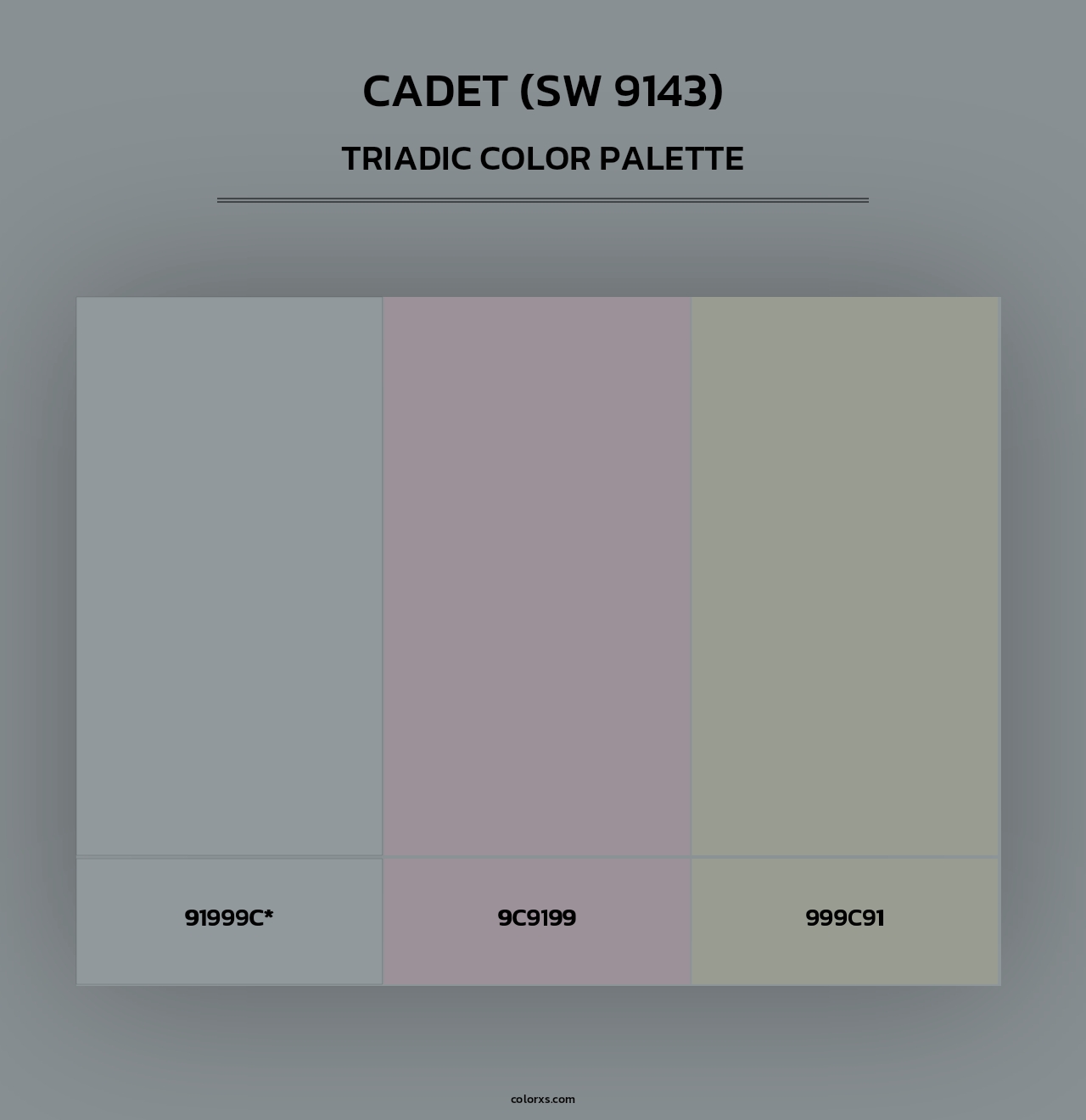 Cadet (SW 9143) - Triadic Color Palette