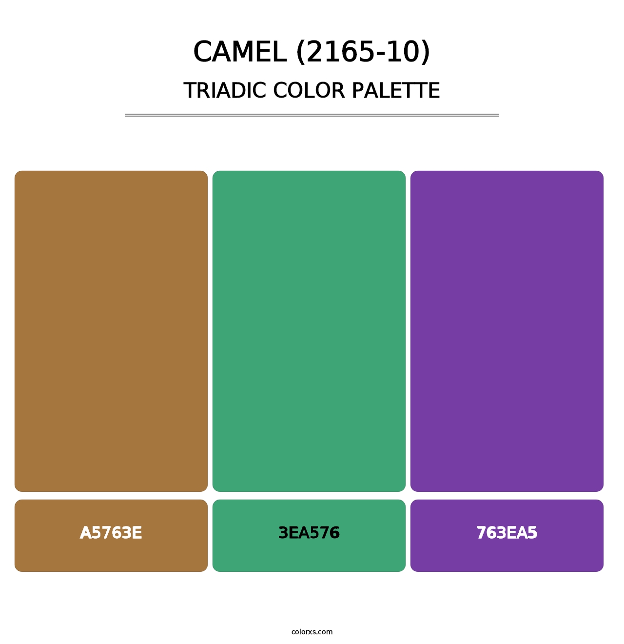 Camel (2165-10) - Triadic Color Palette