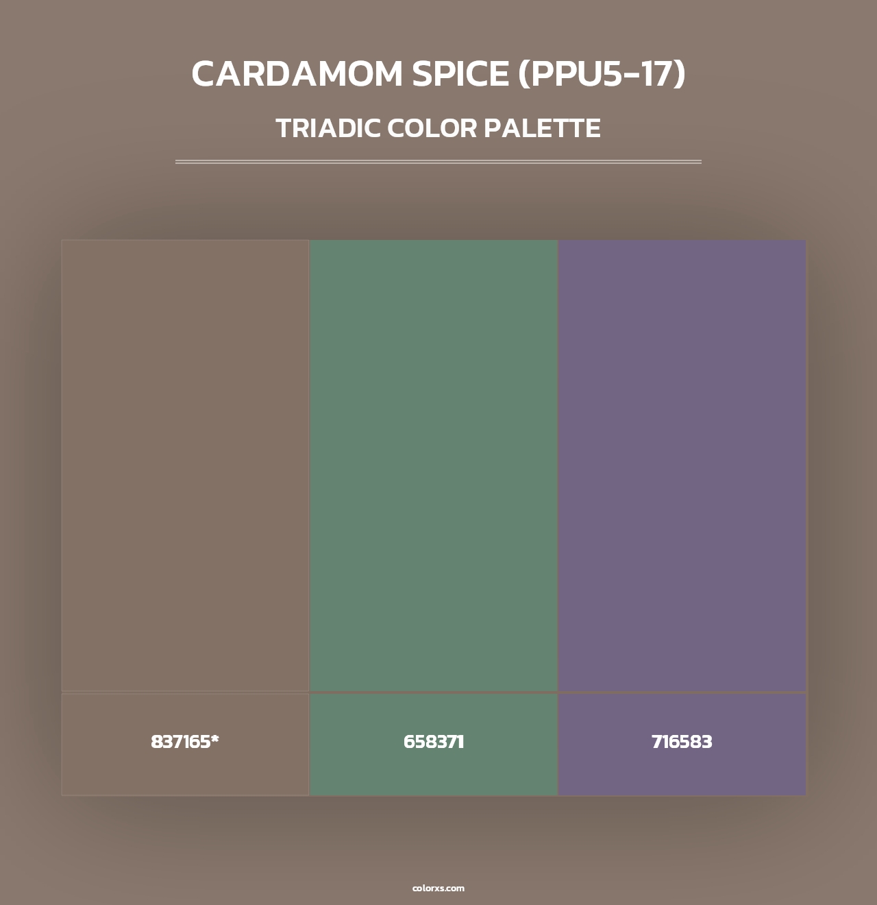 Cardamom Spice (PPU5-17) - Triadic Color Palette