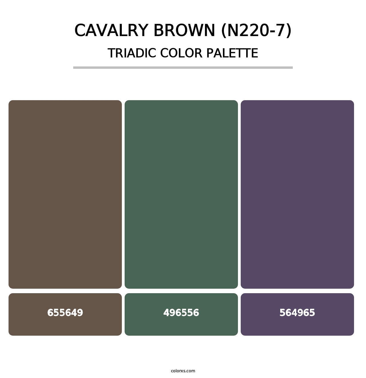 Cavalry Brown (N220-7) - Triadic Color Palette