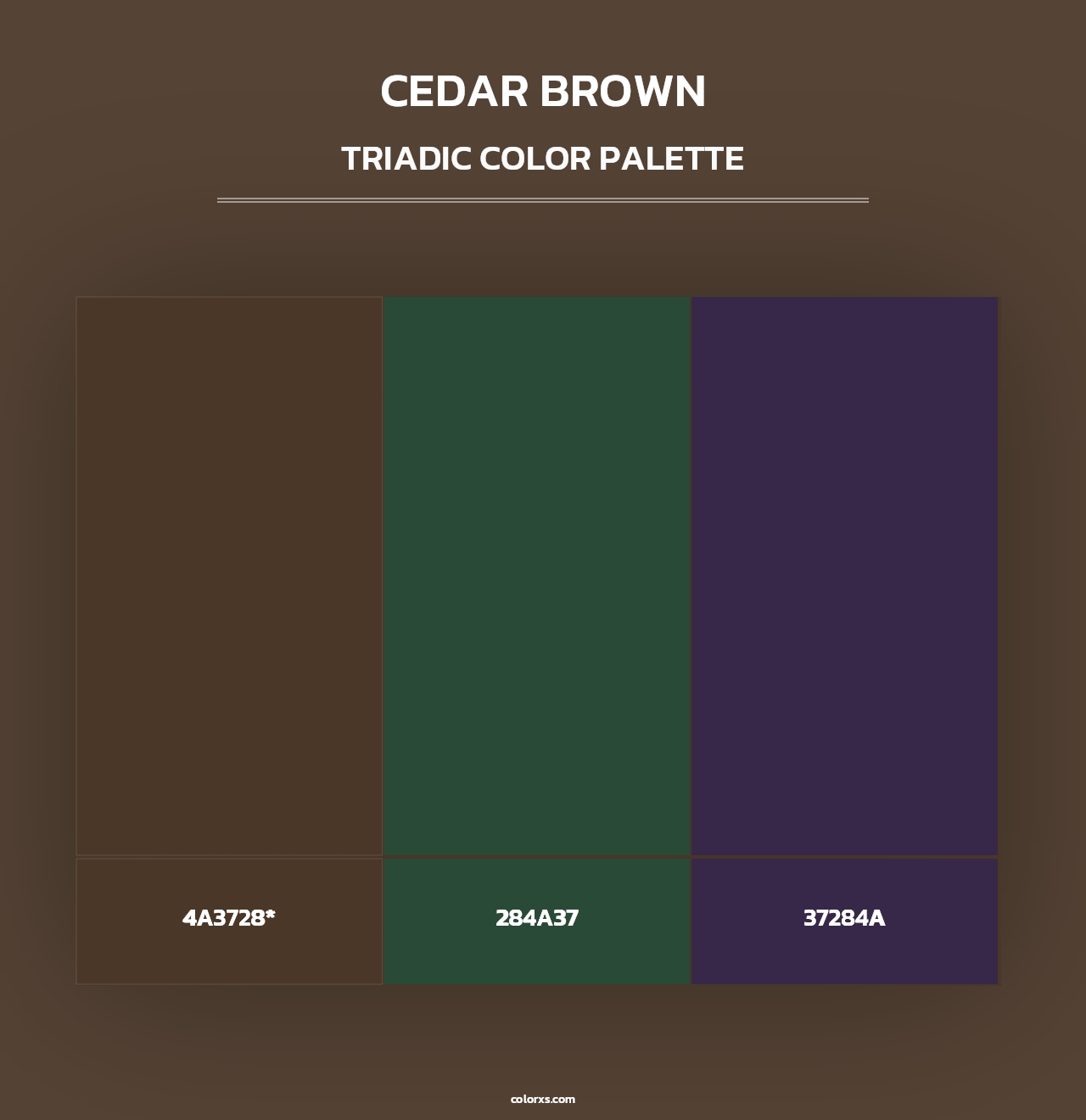 Cedar Brown - Triadic Color Palette