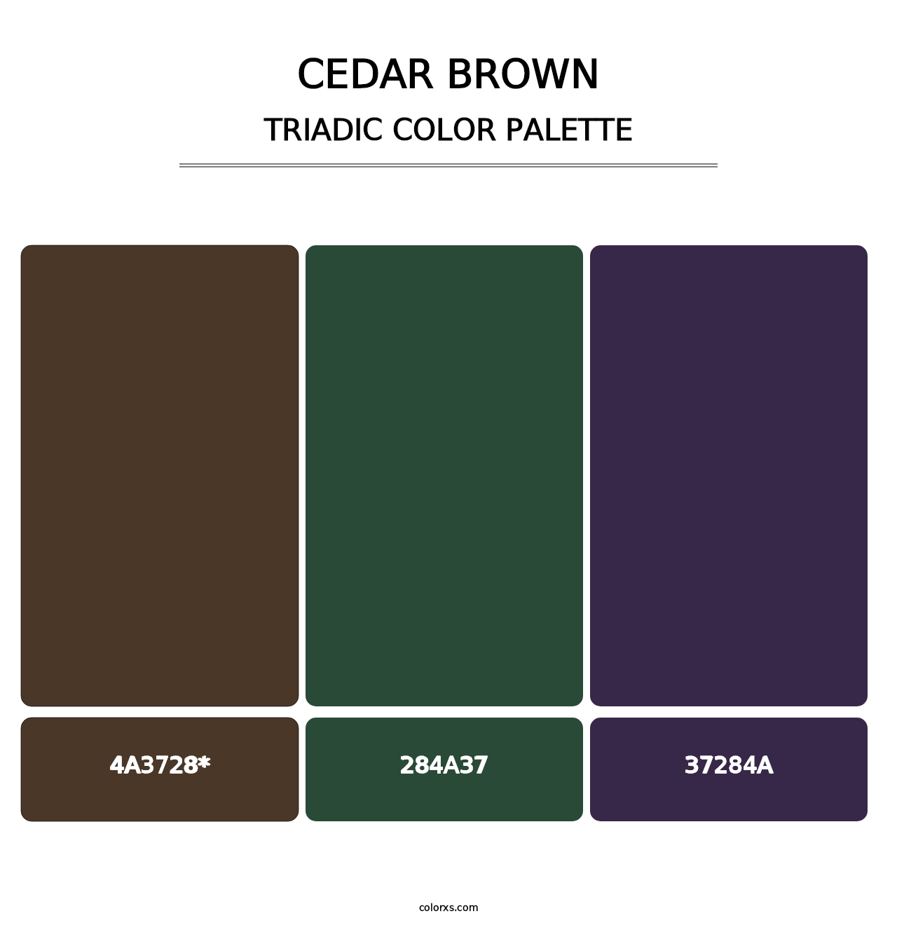 Cedar Brown - Triadic Color Palette