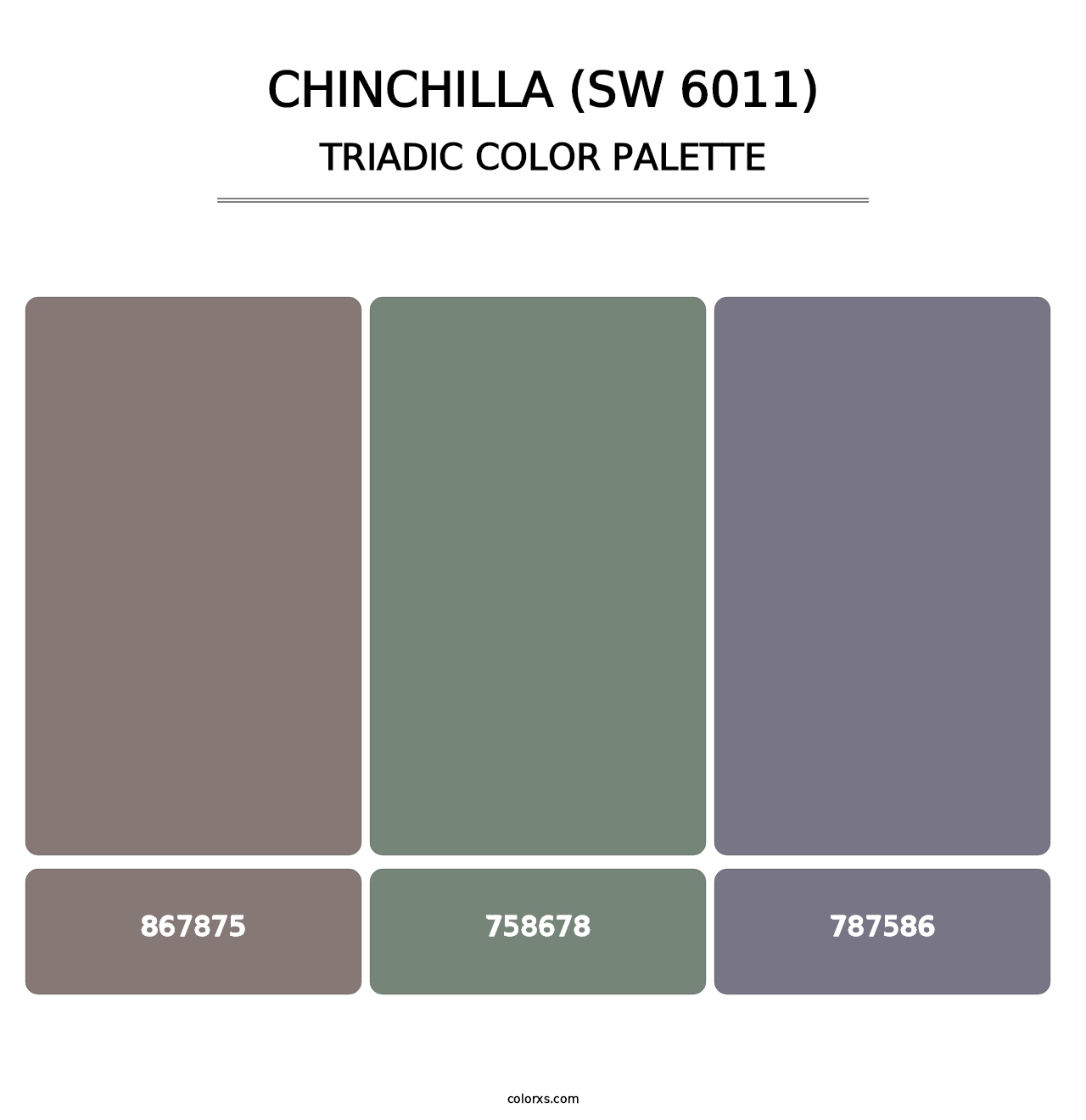 Chinchilla (SW 6011) - Triadic Color Palette