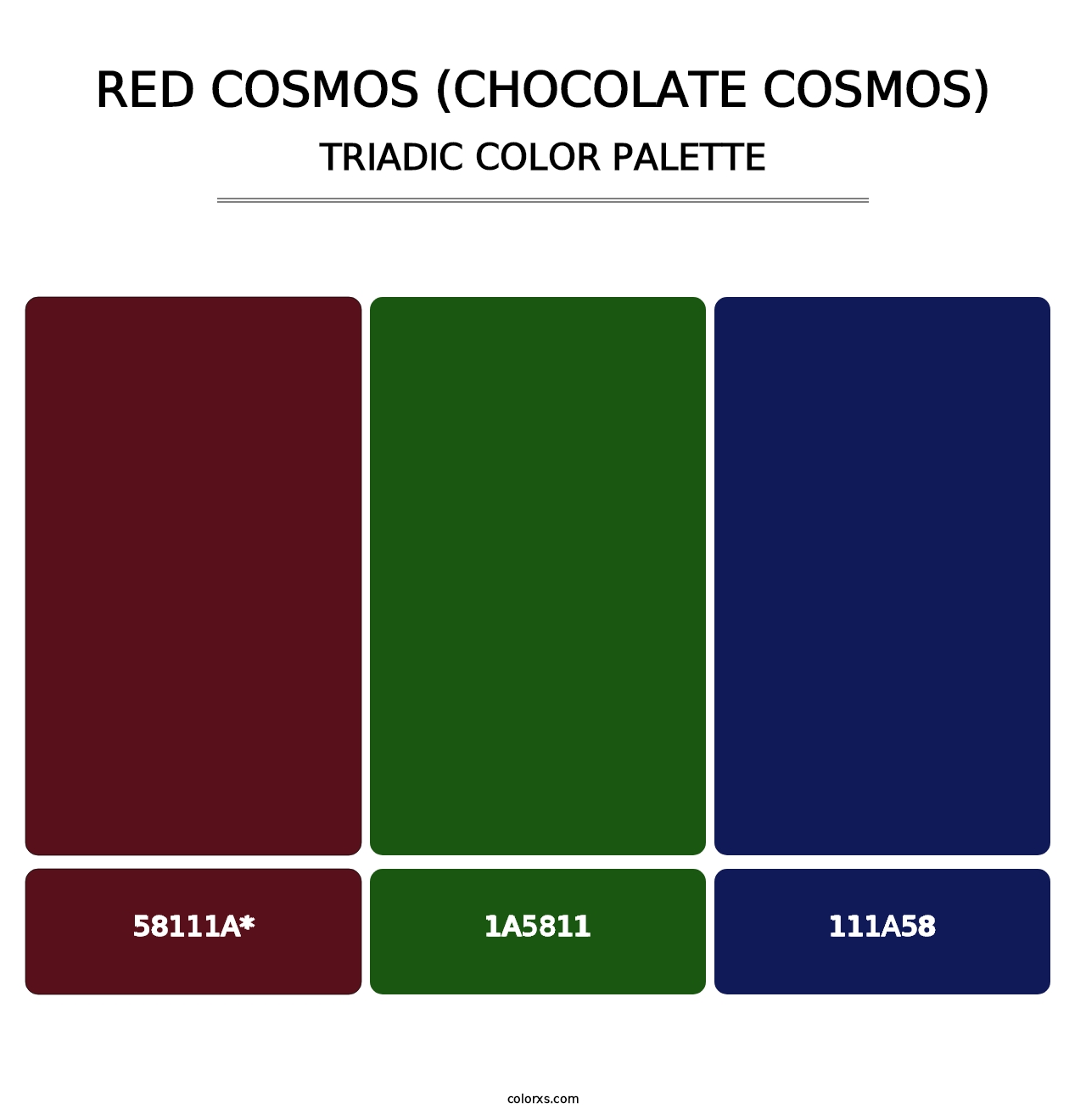 Red Cosmos (Chocolate Cosmos) - Triadic Color Palette