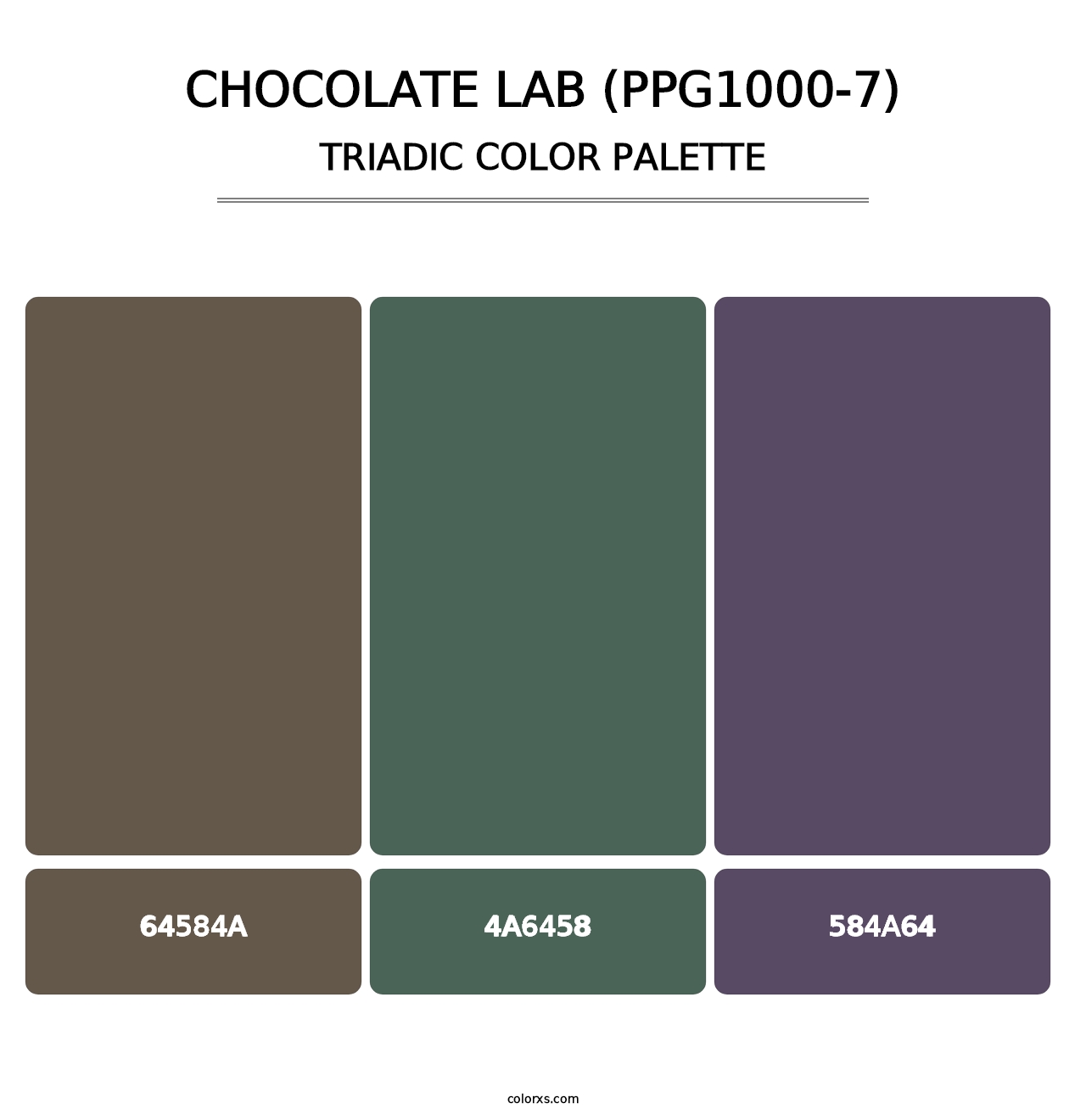 Chocolate Lab (PPG1000-7) - Triadic Color Palette