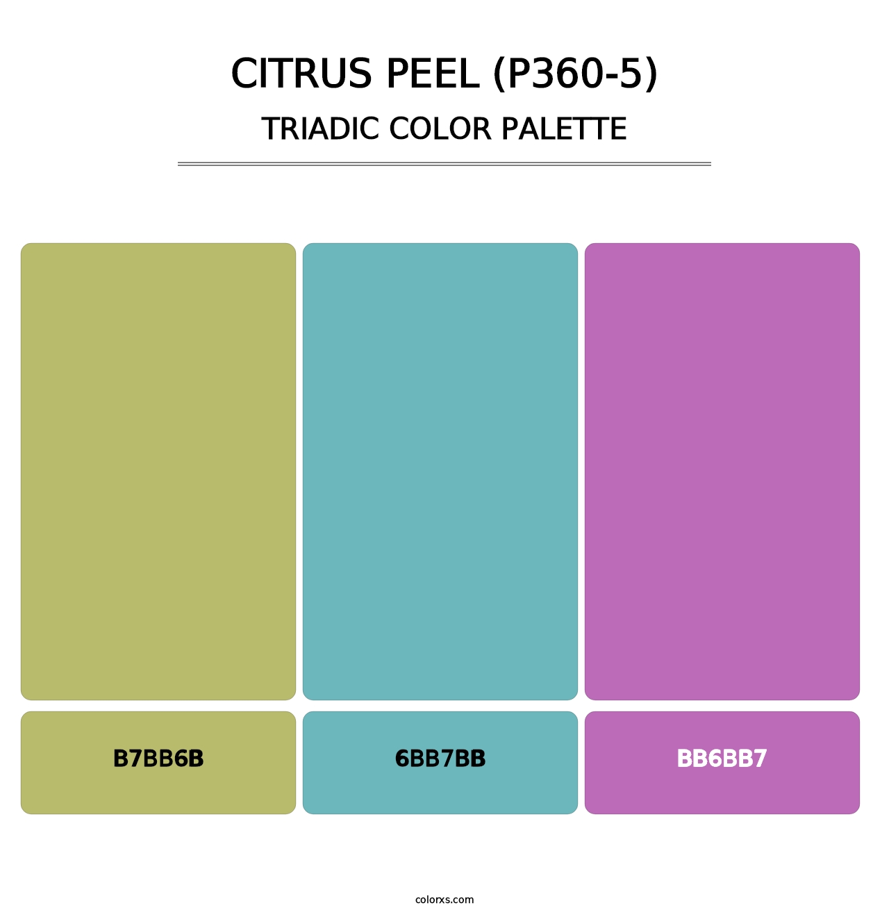 Citrus Peel (P360-5) - Triadic Color Palette
