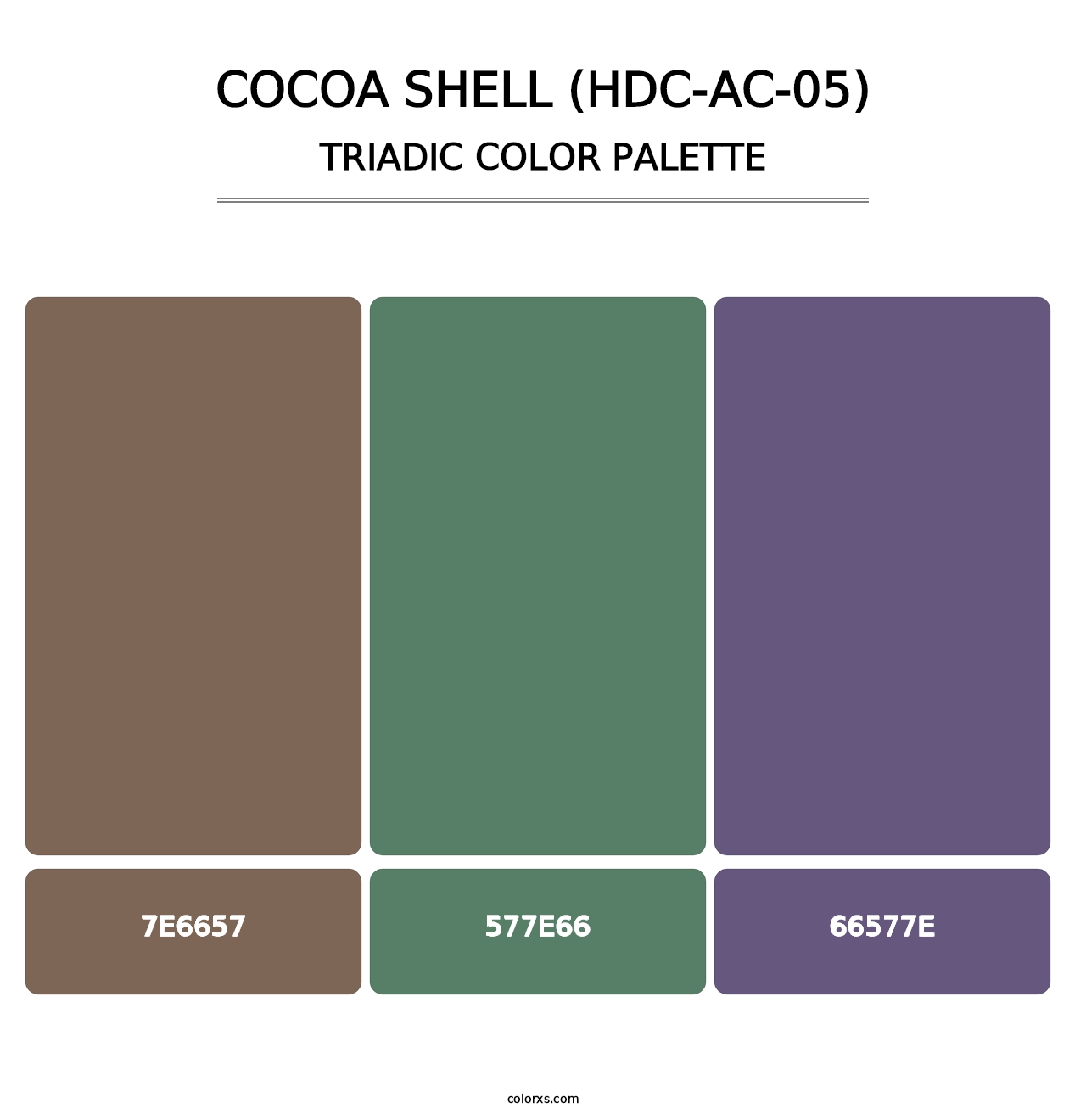 Cocoa Shell (HDC-AC-05) - Triadic Color Palette
