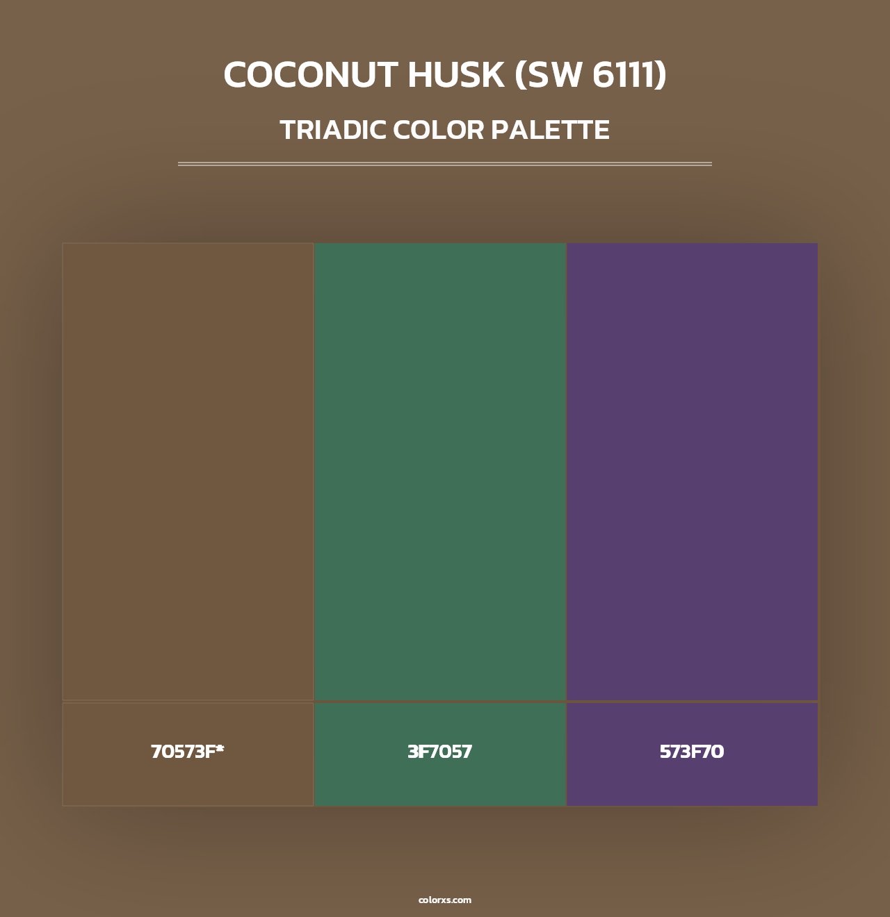 Coconut Husk (SW 6111) - Triadic Color Palette