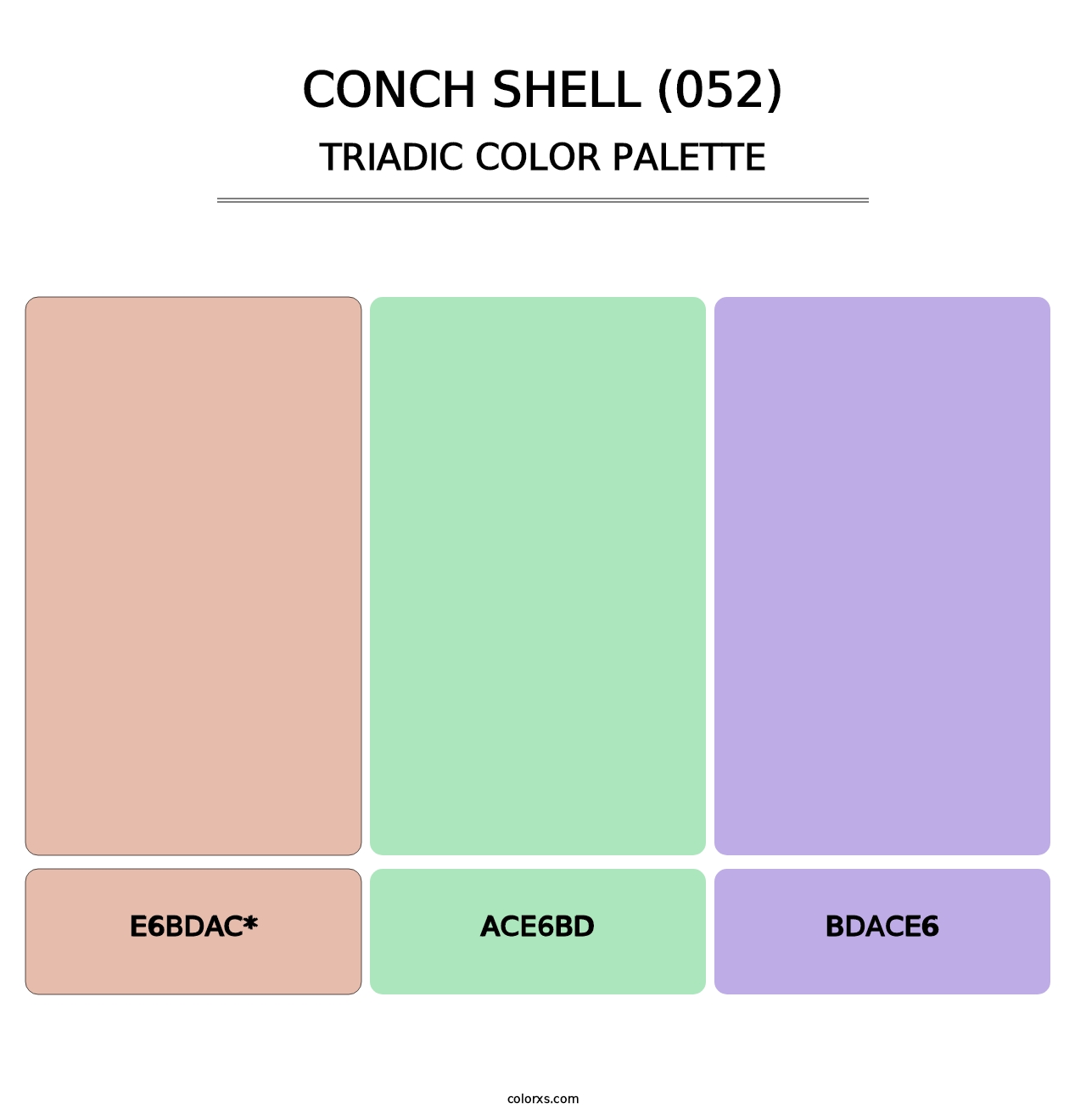Conch Shell (052) - Triadic Color Palette