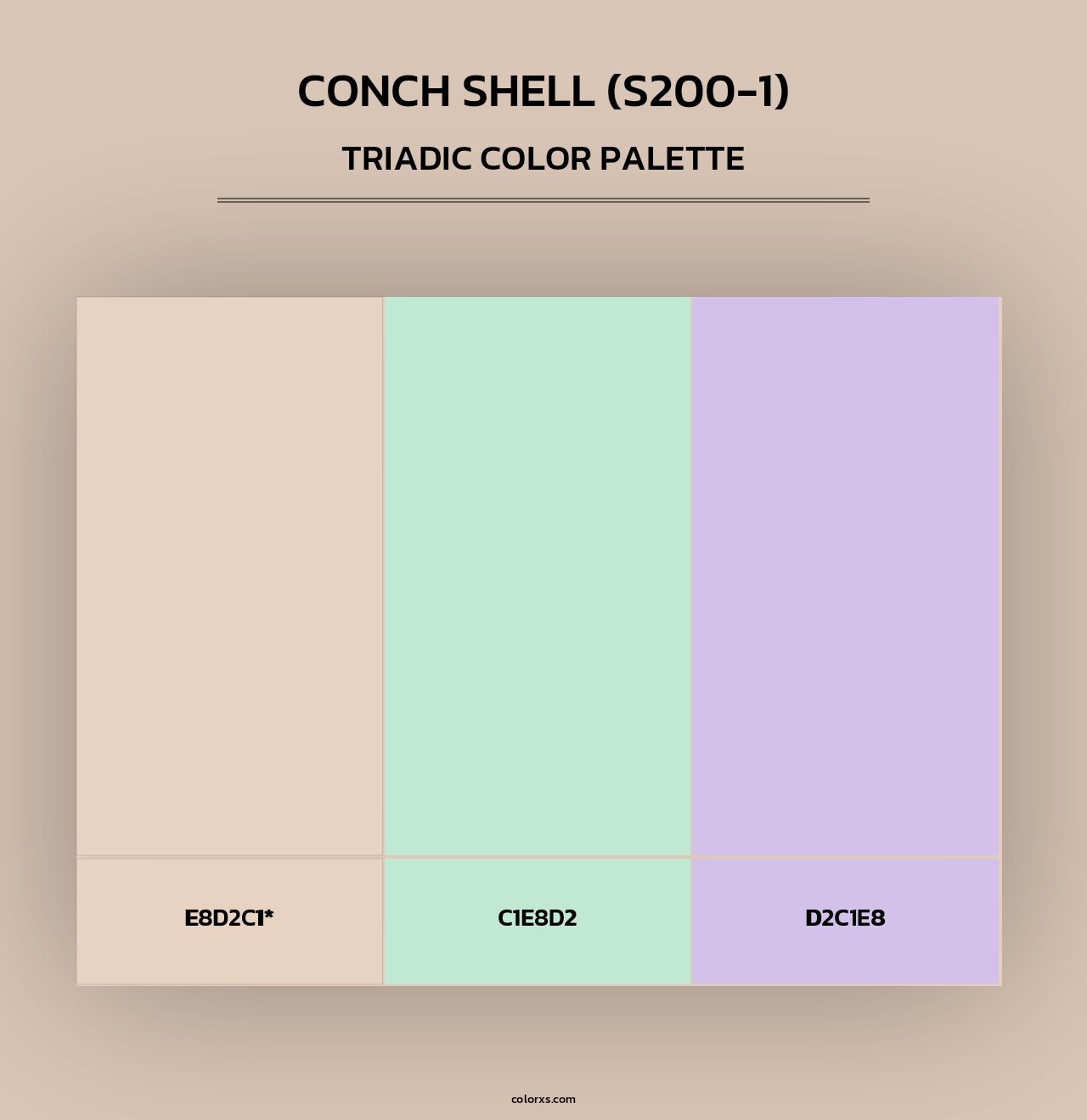 Conch Shell (S200-1) - Triadic Color Palette
