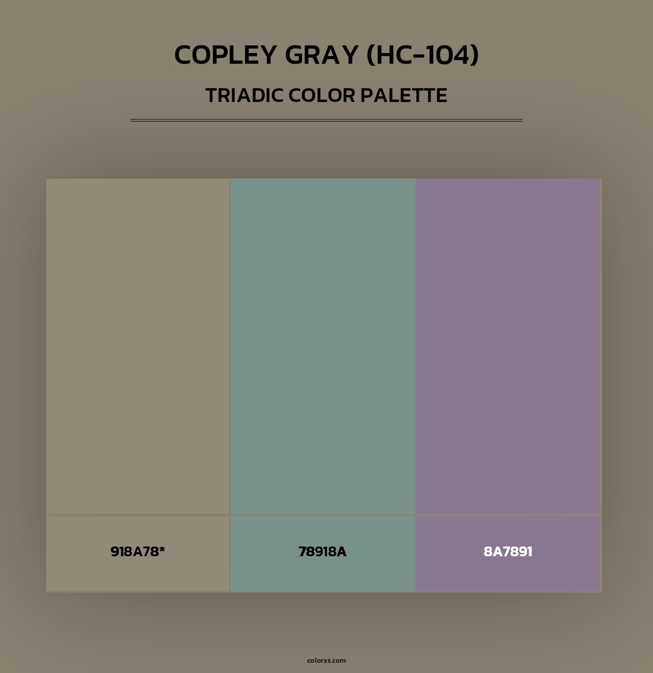 Copley Gray (HC-104) - Triadic Color Palette