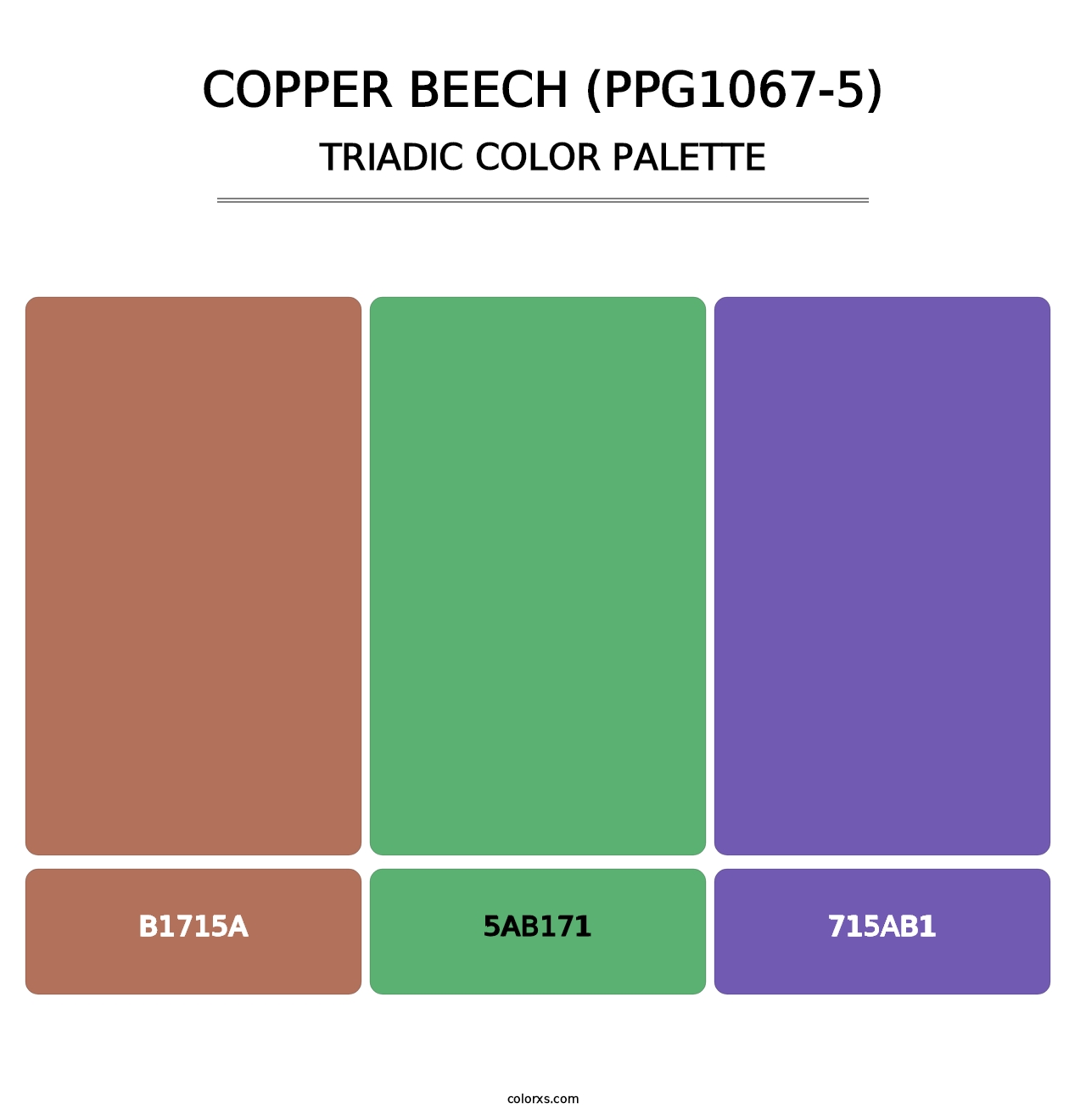 Copper Beech (PPG1067-5) - Triadic Color Palette