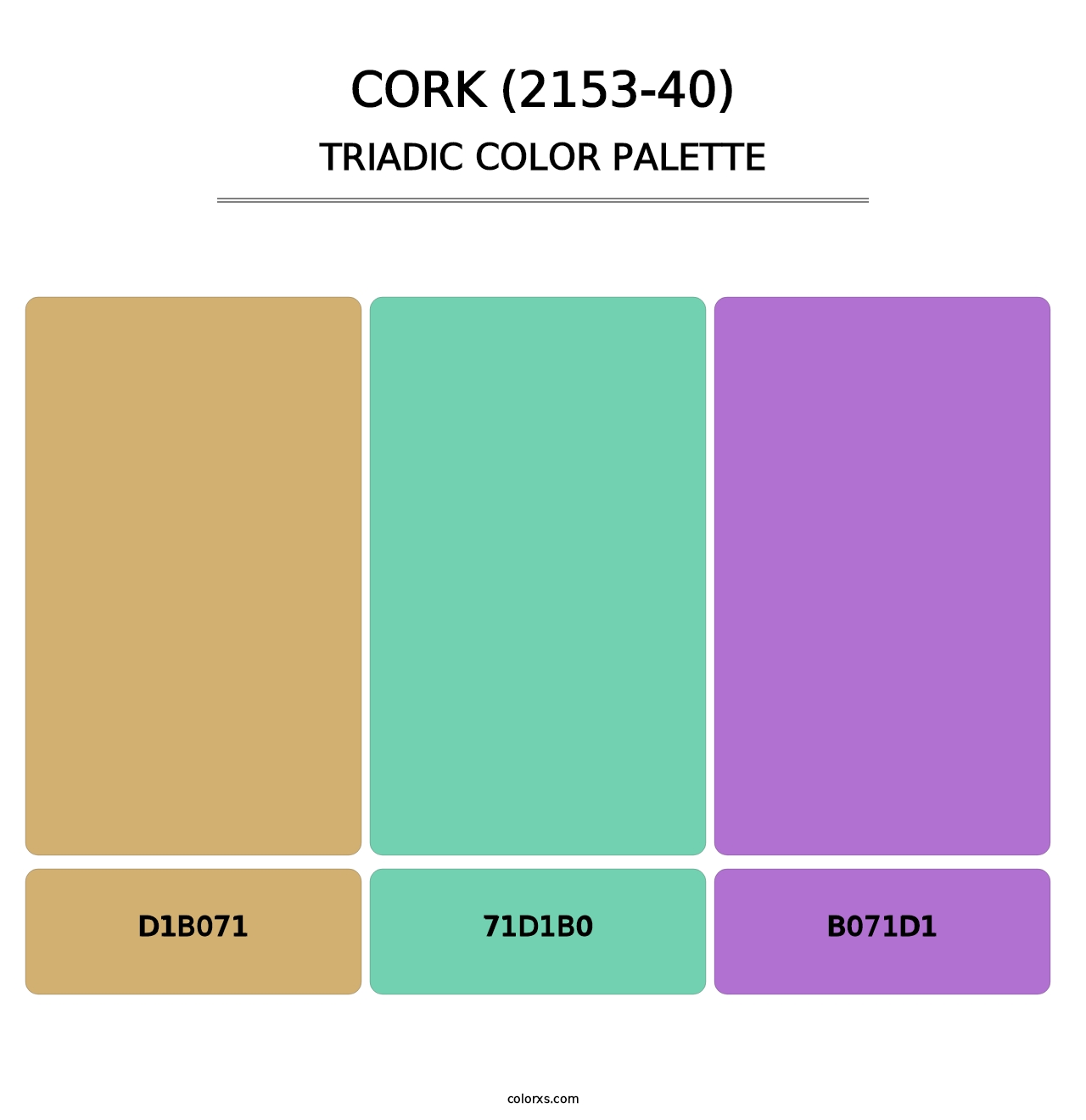 Cork (2153-40) - Triadic Color Palette
