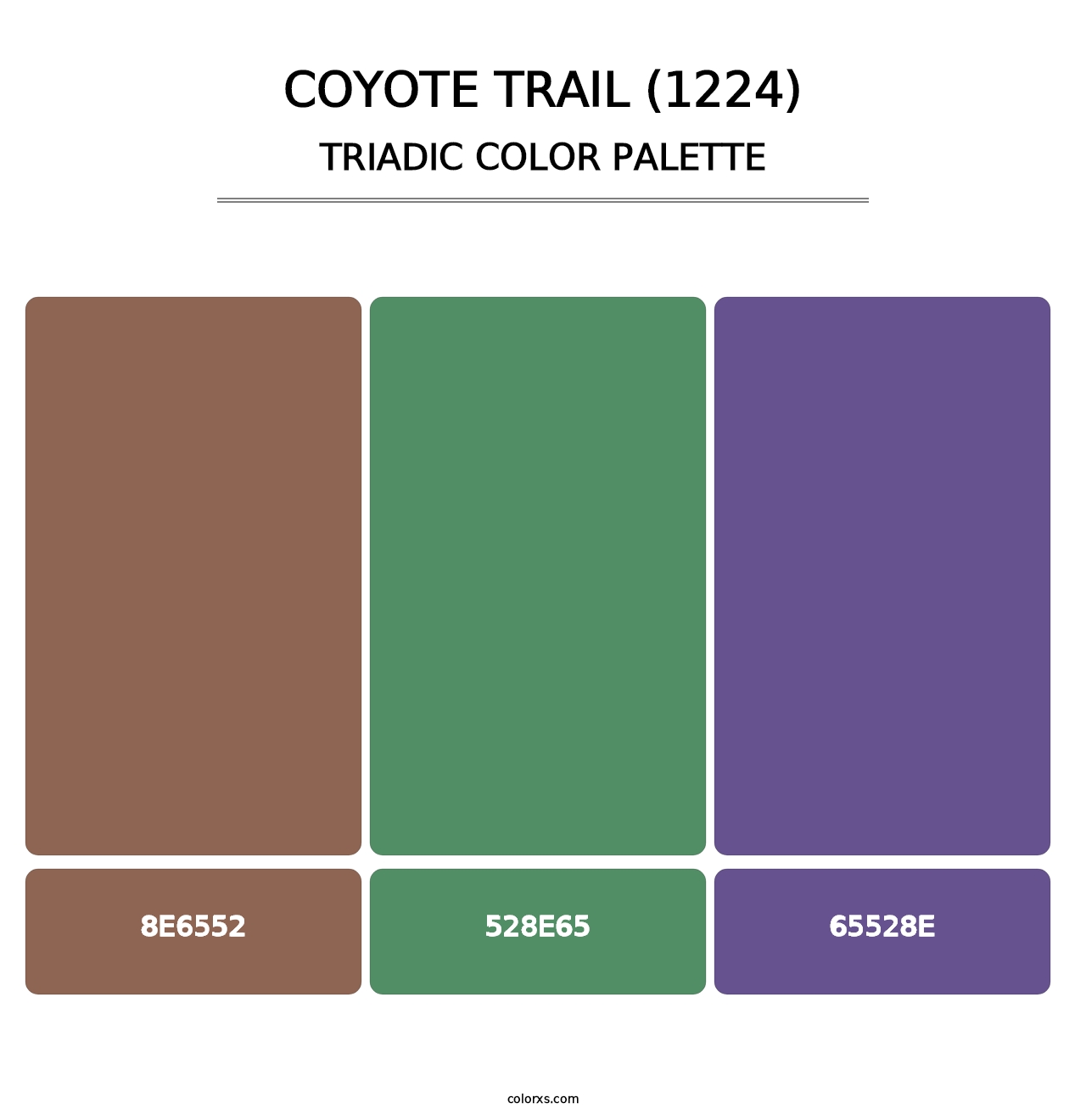 Coyote Trail (1224) - Triadic Color Palette