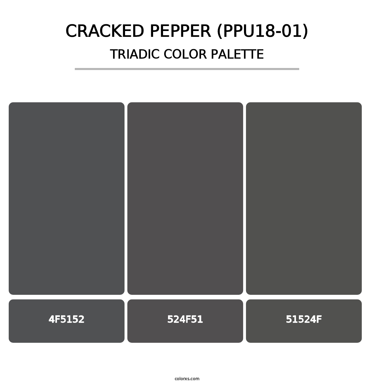 Cracked Pepper (PPU18-01) - Triadic Color Palette