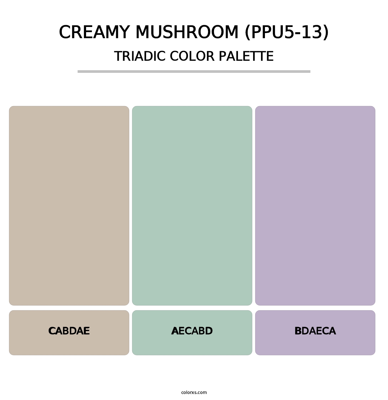 Creamy Mushroom (PPU5-13) - Triadic Color Palette
