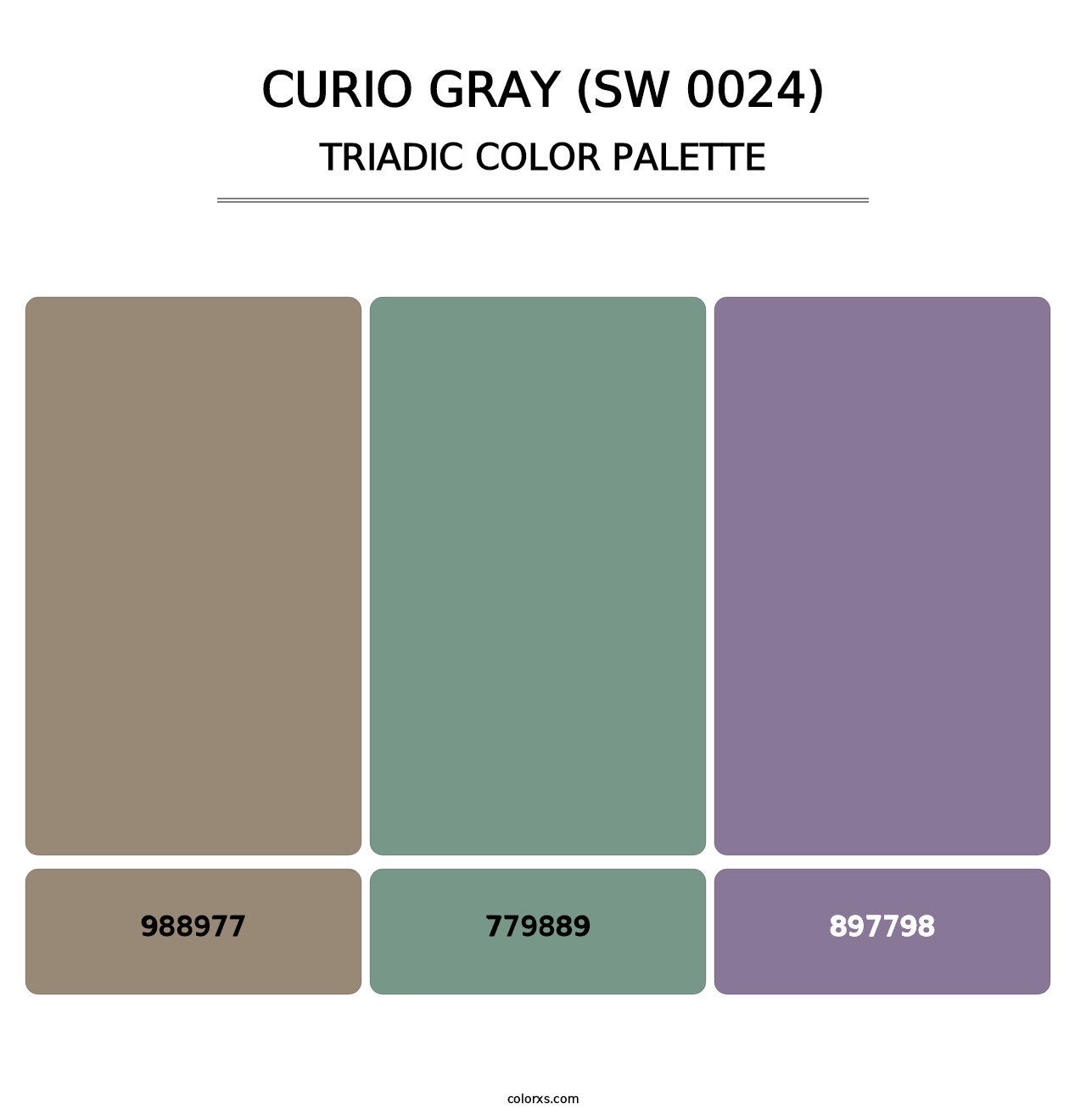 Curio Gray (SW 0024) - Triadic Color Palette