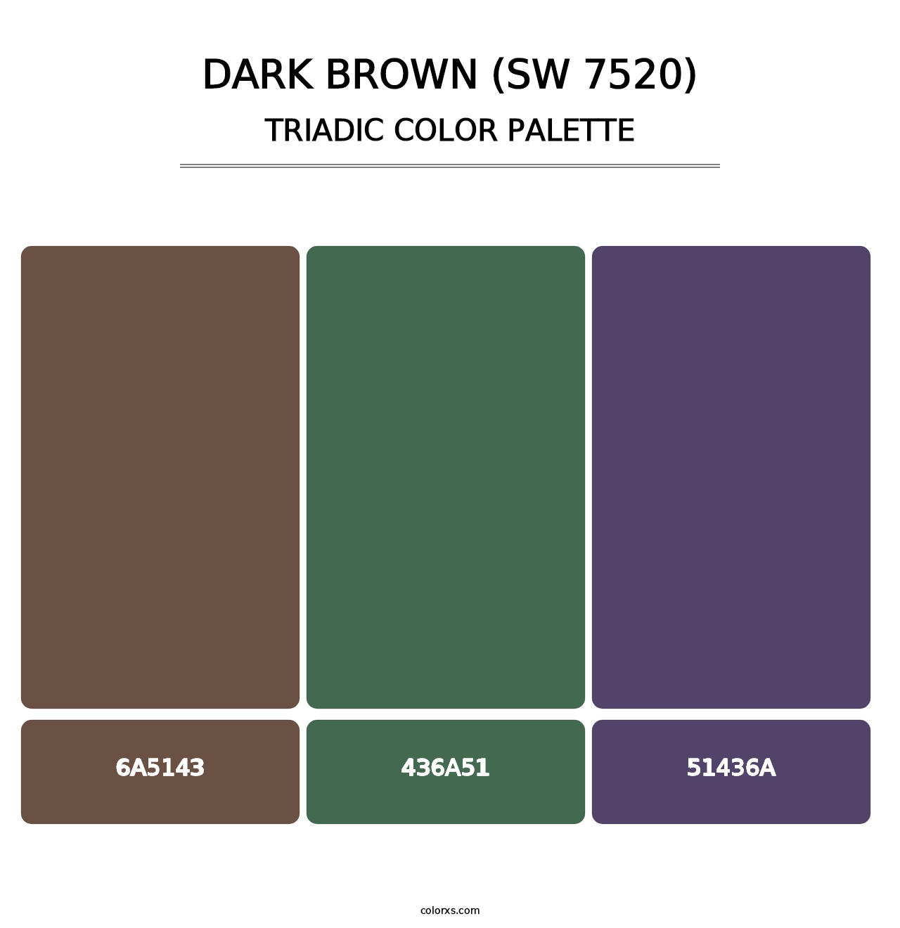 Dark Brown (SW 7520) - Triadic Color Palette